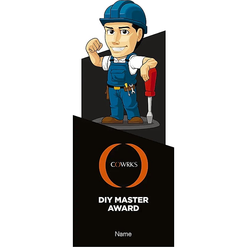 DIY Master Award