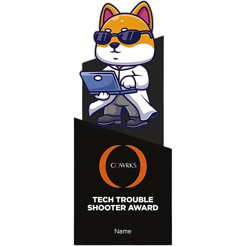 Tech Trouble Shooter Award