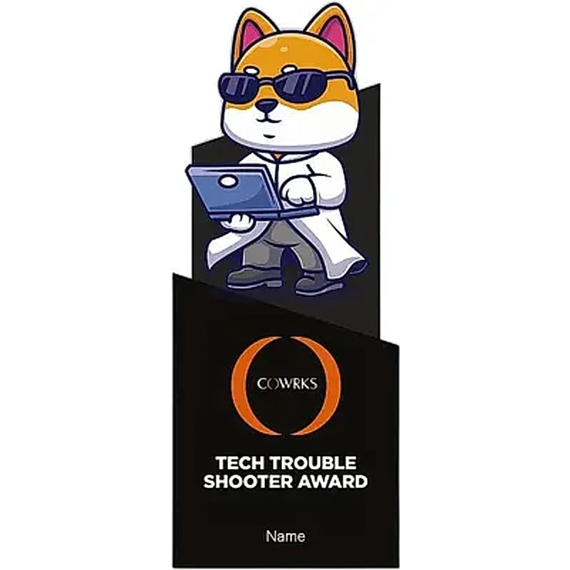 Tech Trouble Shooter Award