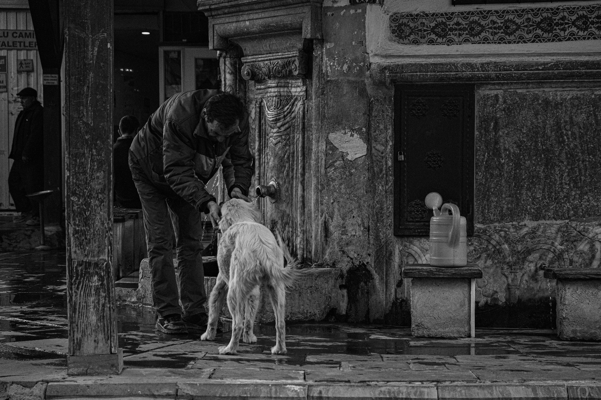 Melih Demirel - 4. Olan Fotoğraf