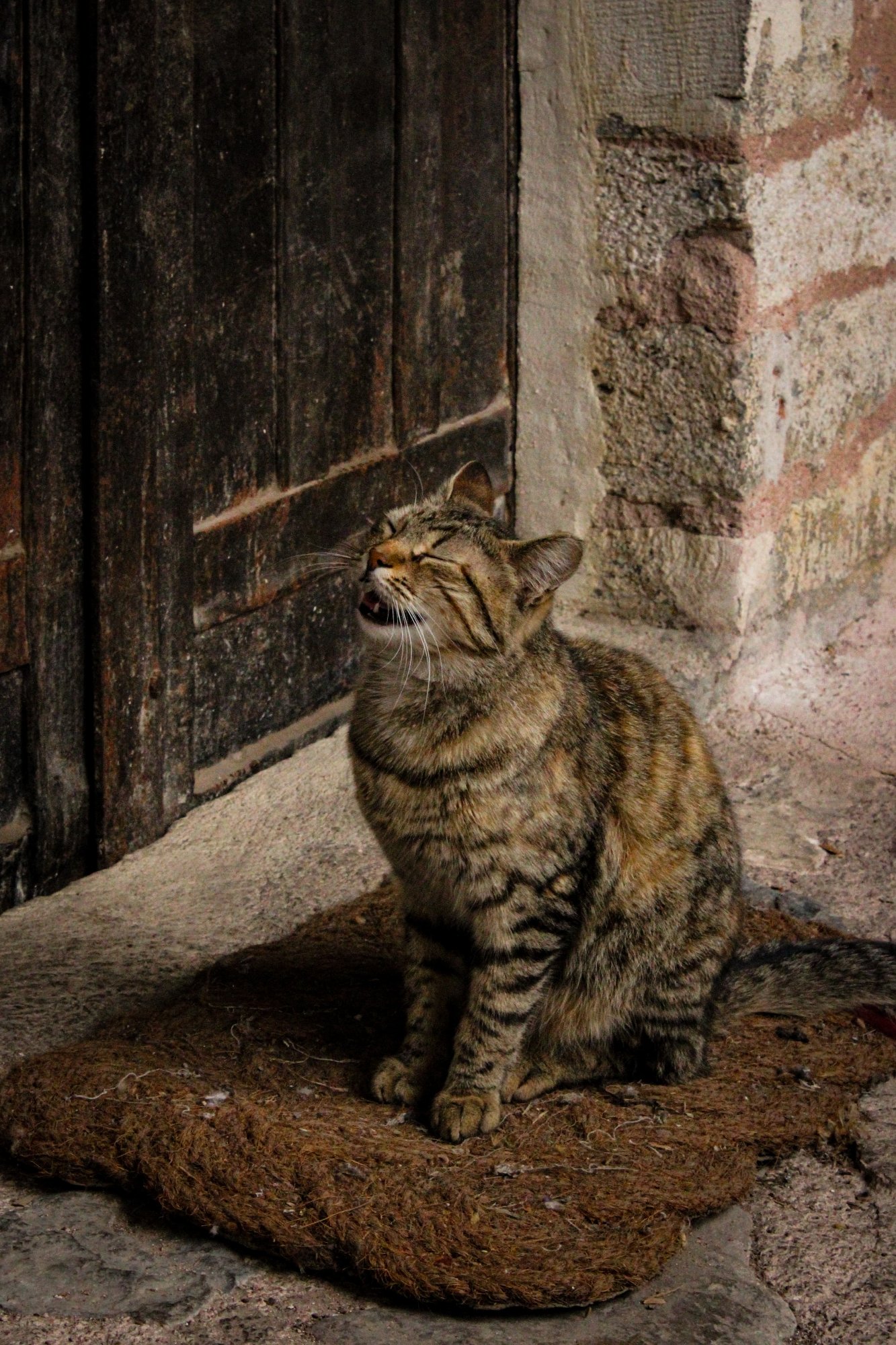 Melike Duman - 5. Olan Fotoğraf