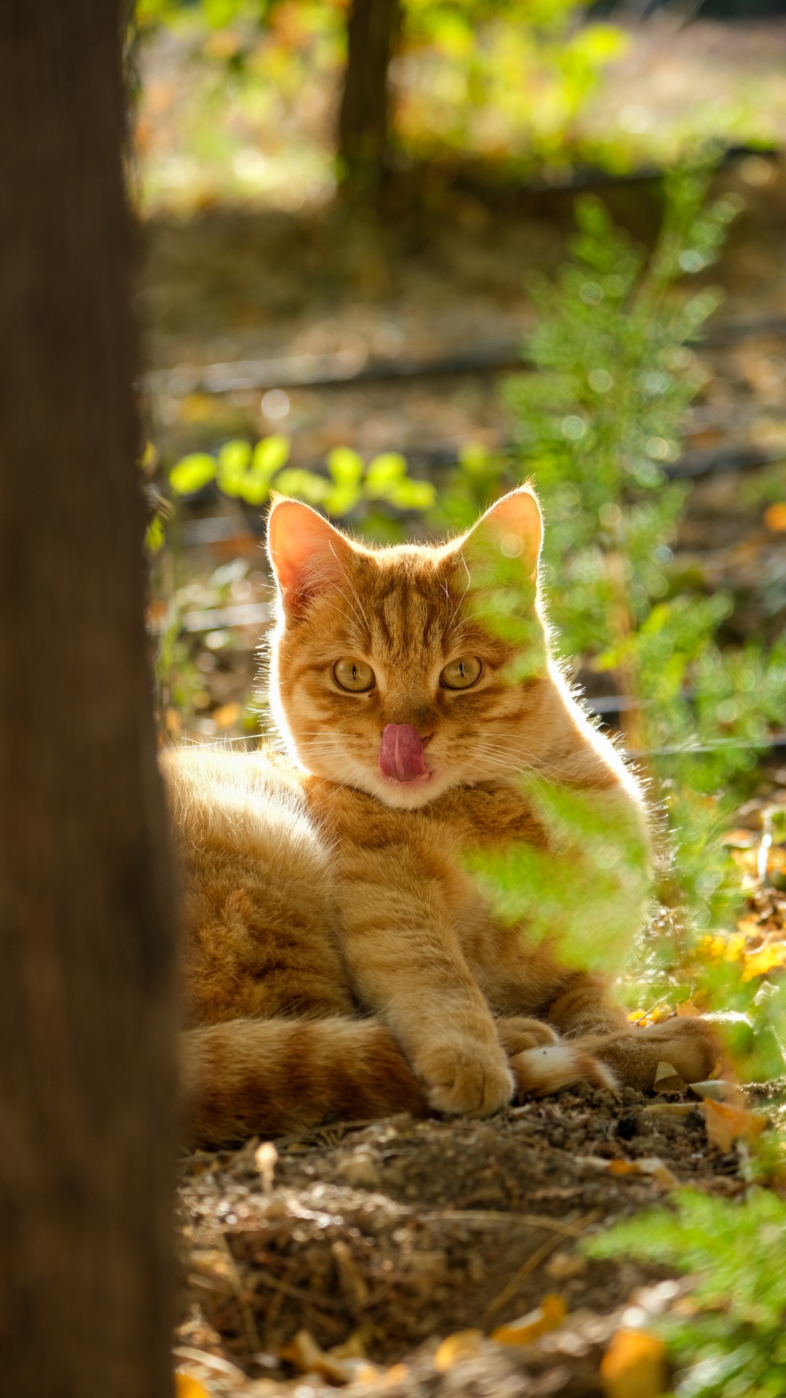 Ahmet ÇİFTÇİ - 6. Olan Fotoğraf