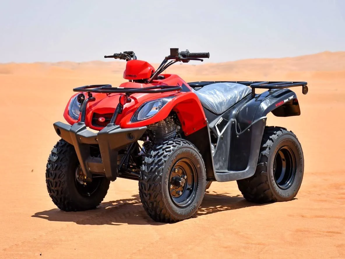 Dubai red sand desert activities