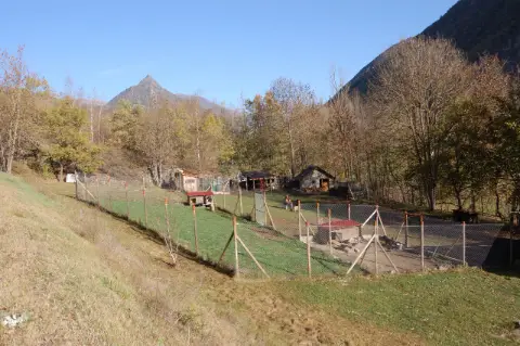 DeBoavi 18930