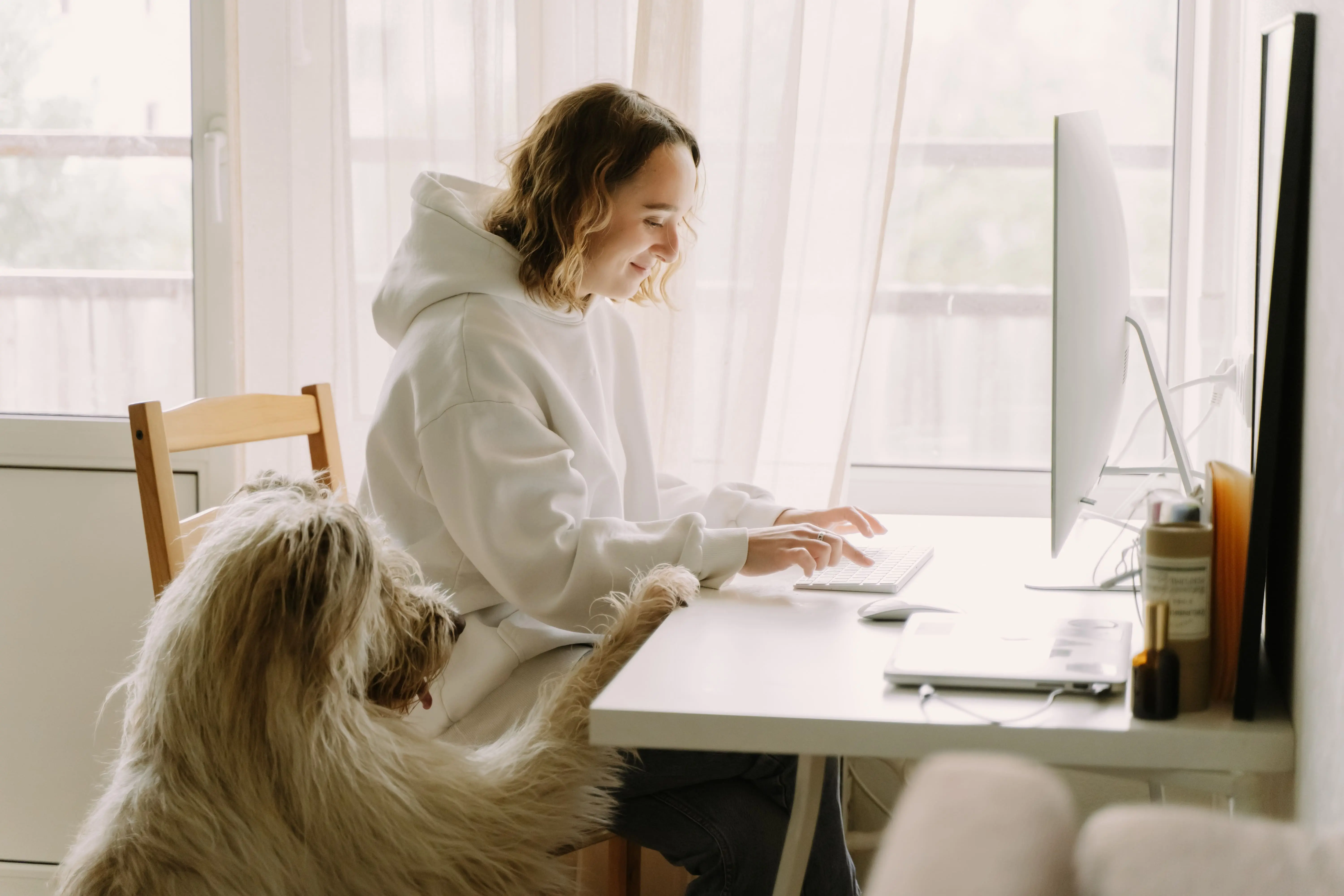 Perro en el ordenador viendo como registrarse en OMD