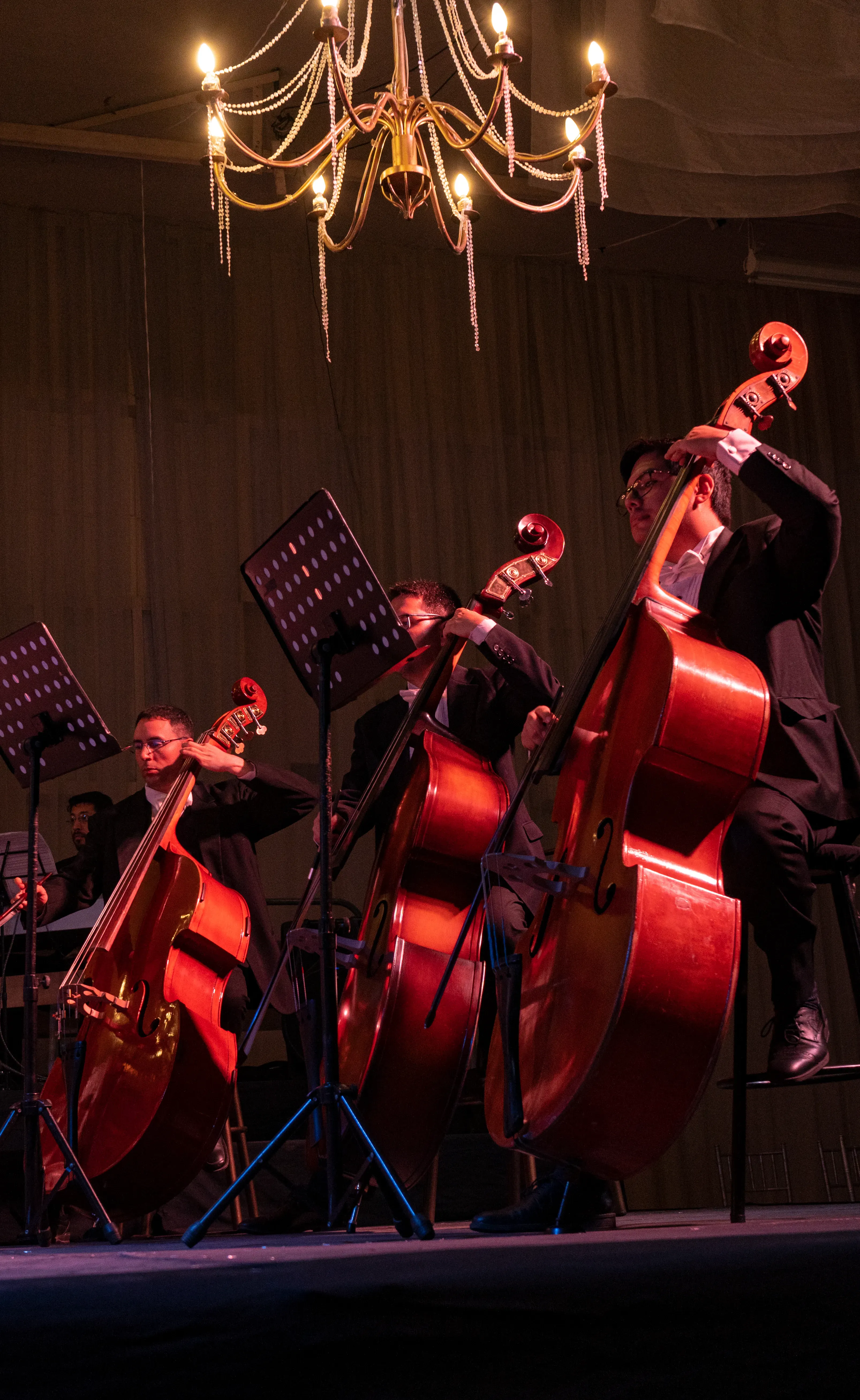 Foto 6 de Carmina Burana Filarmónica
