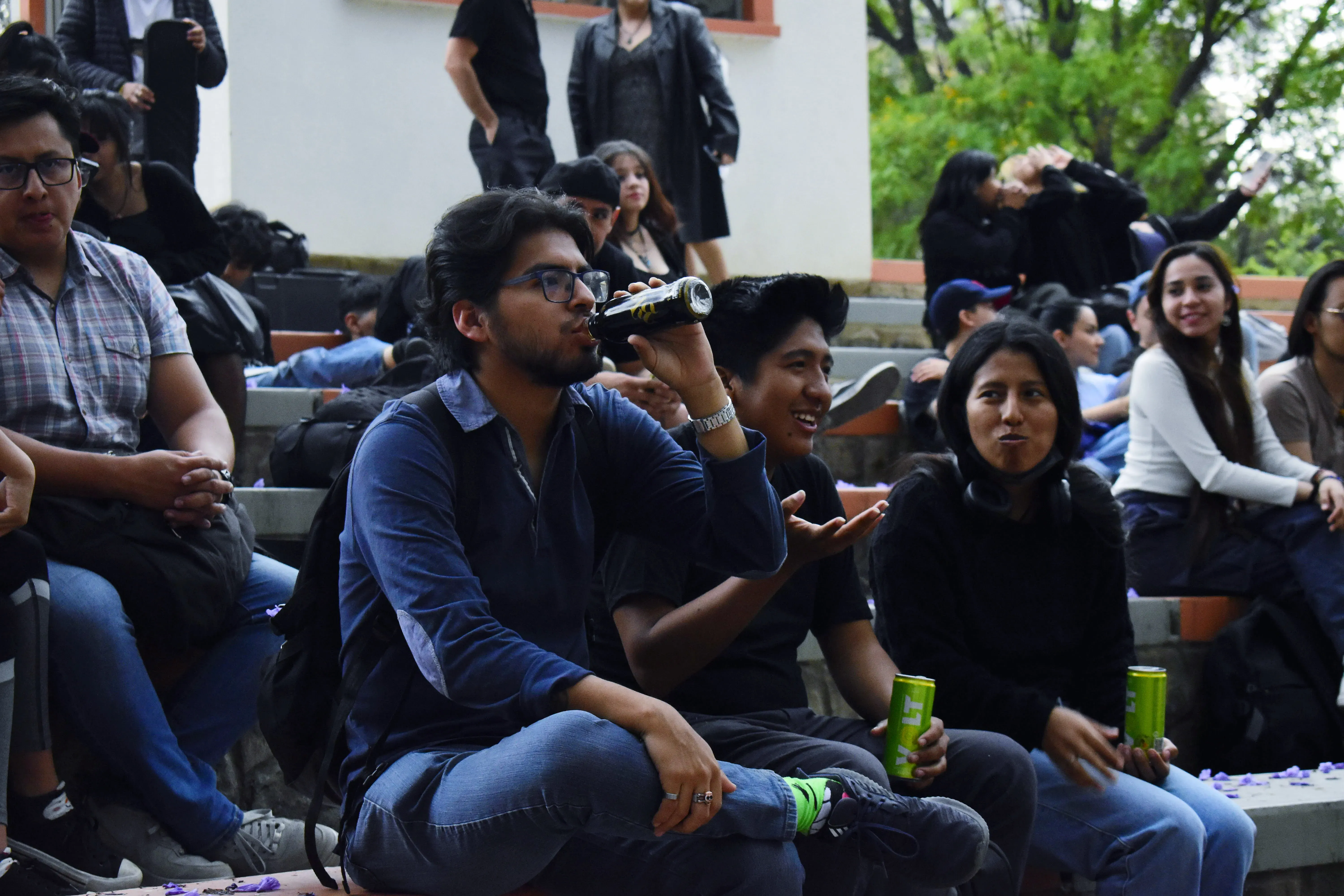 Foto 2 de REVERDECER