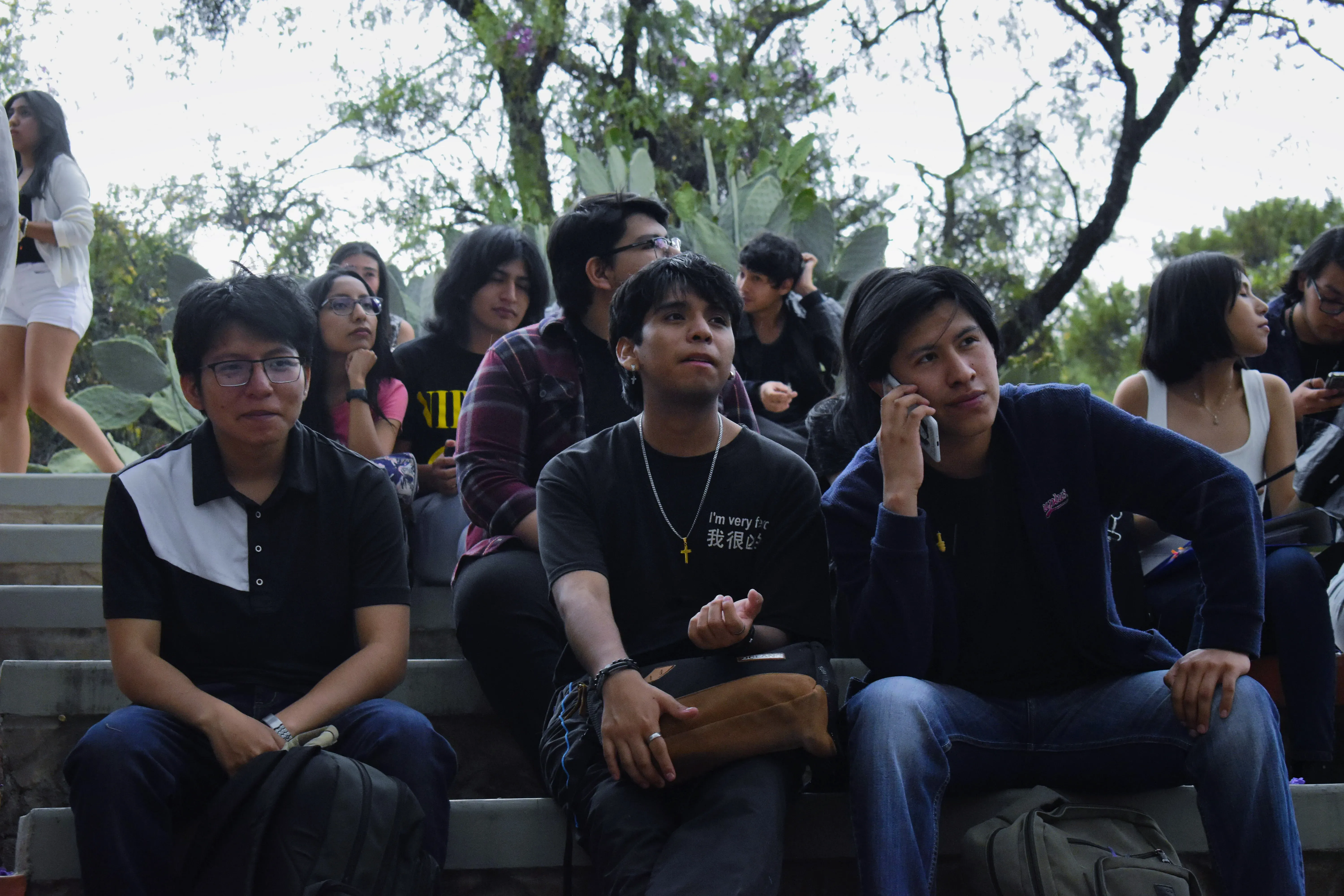 Foto 3 de REVERDECER