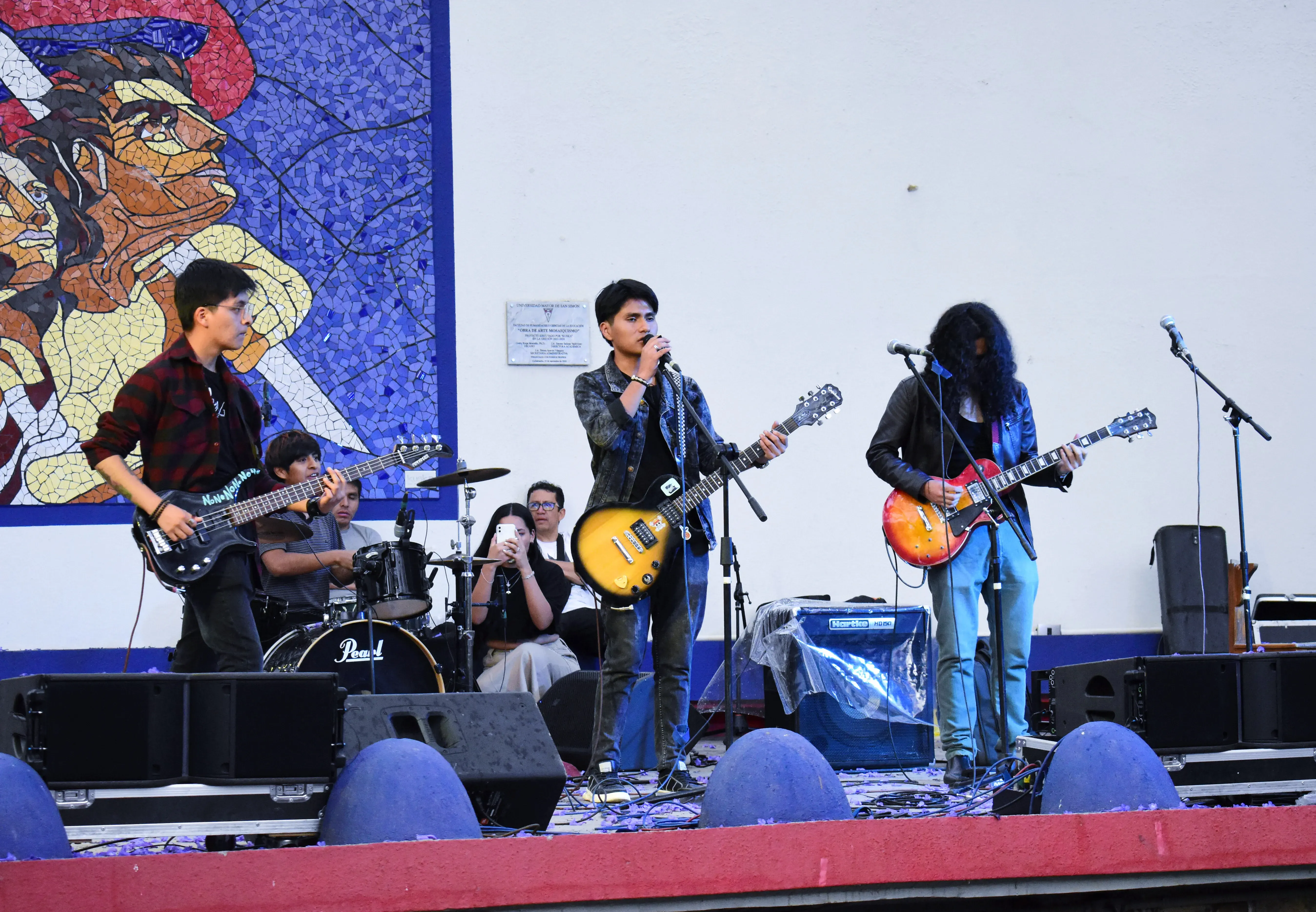 Foto 4 de REVERDECER