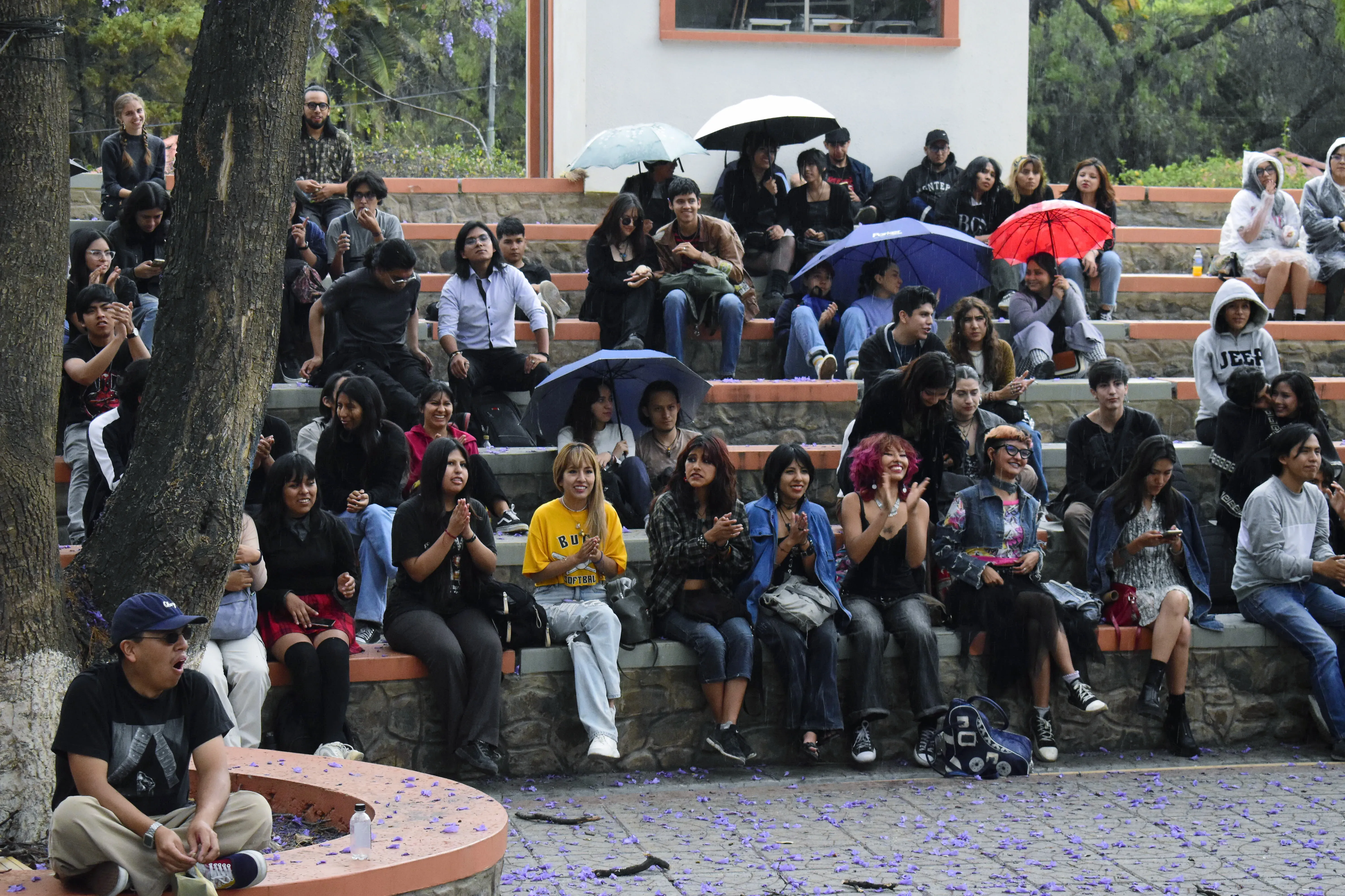 Foto 6 de REVERDECER