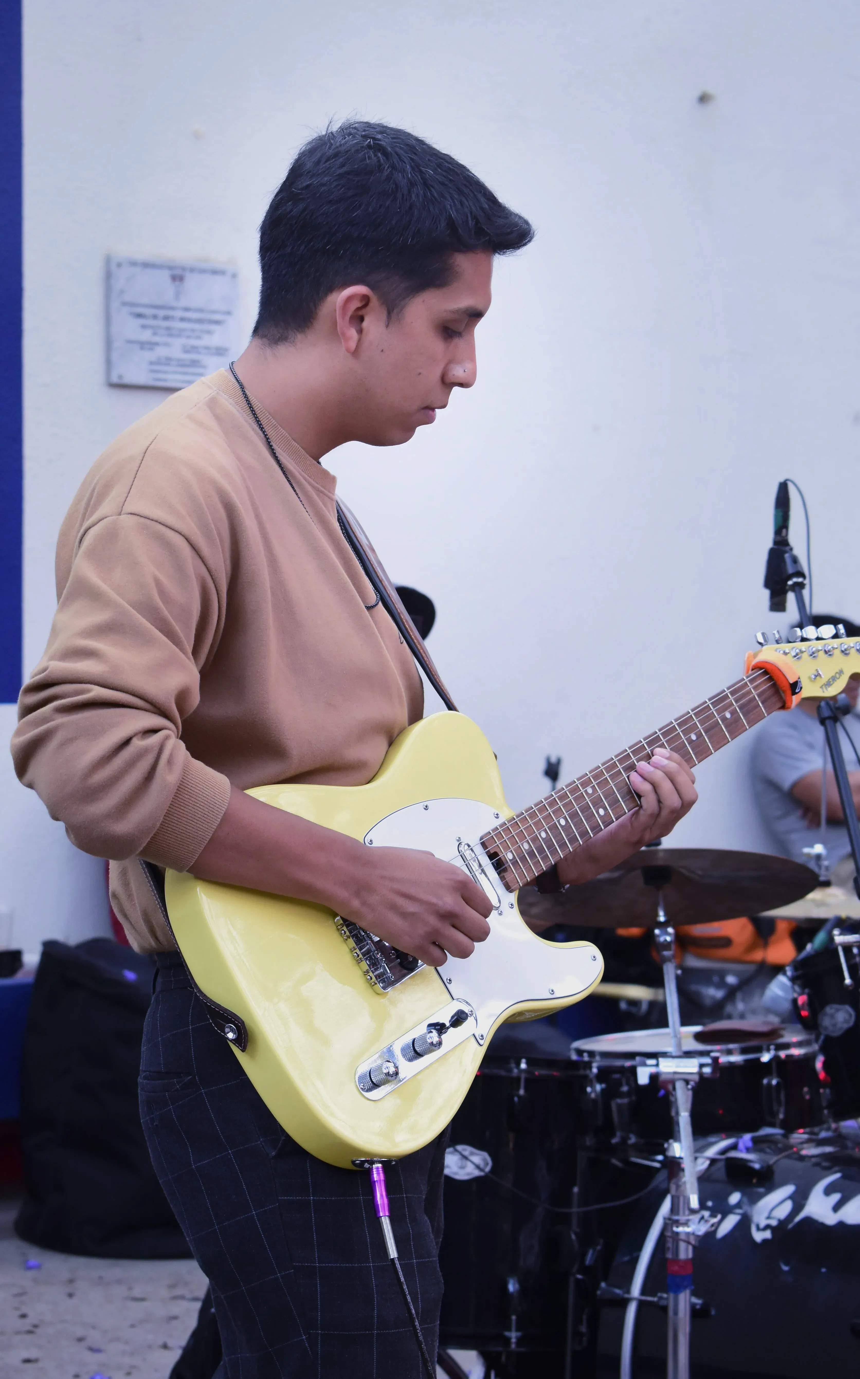 Foto 12 de REVERDECER