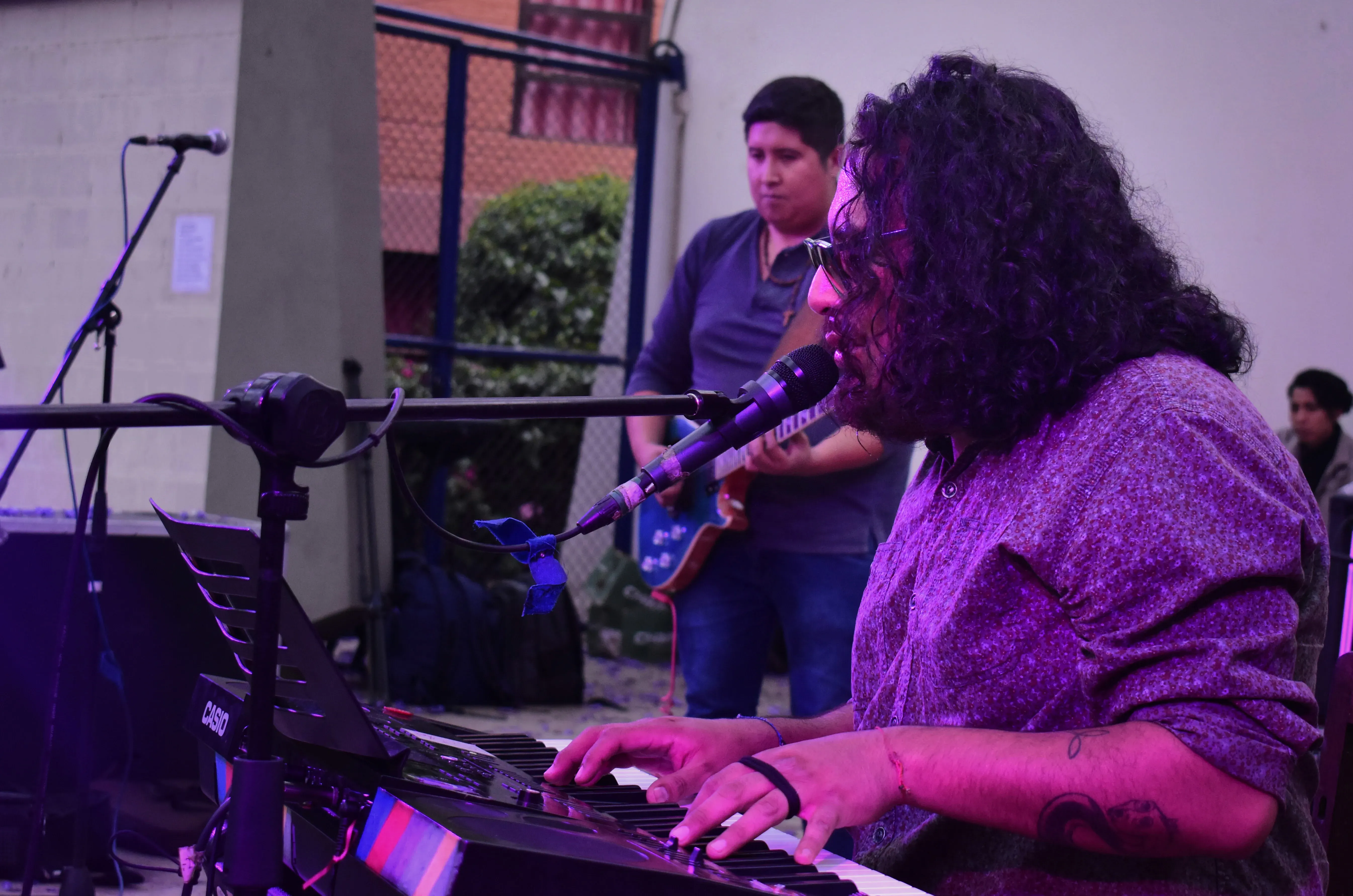 Foto 15 de REVERDECER