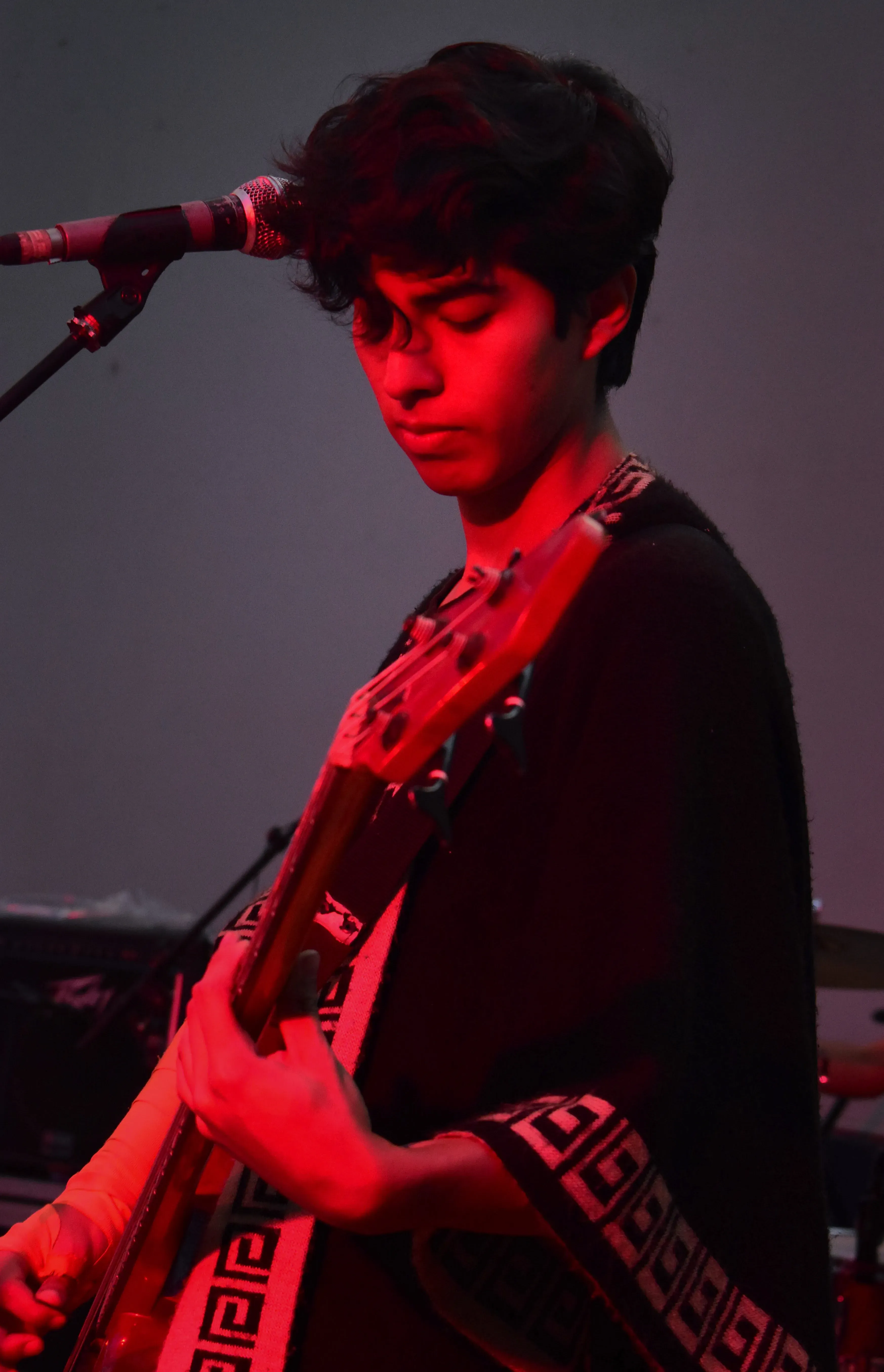 Foto 19 de REVERDECER