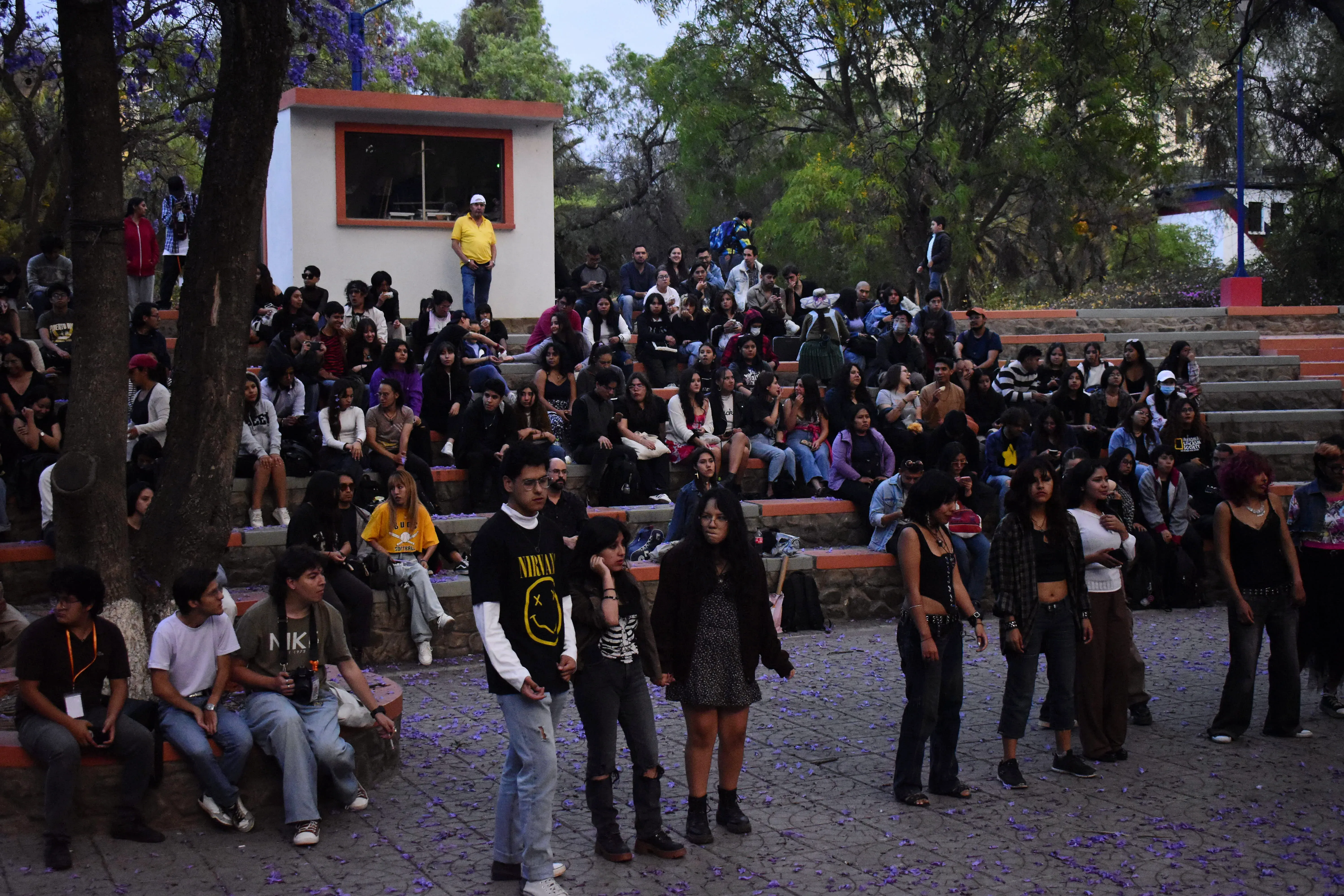 Foto 22 de REVERDECER