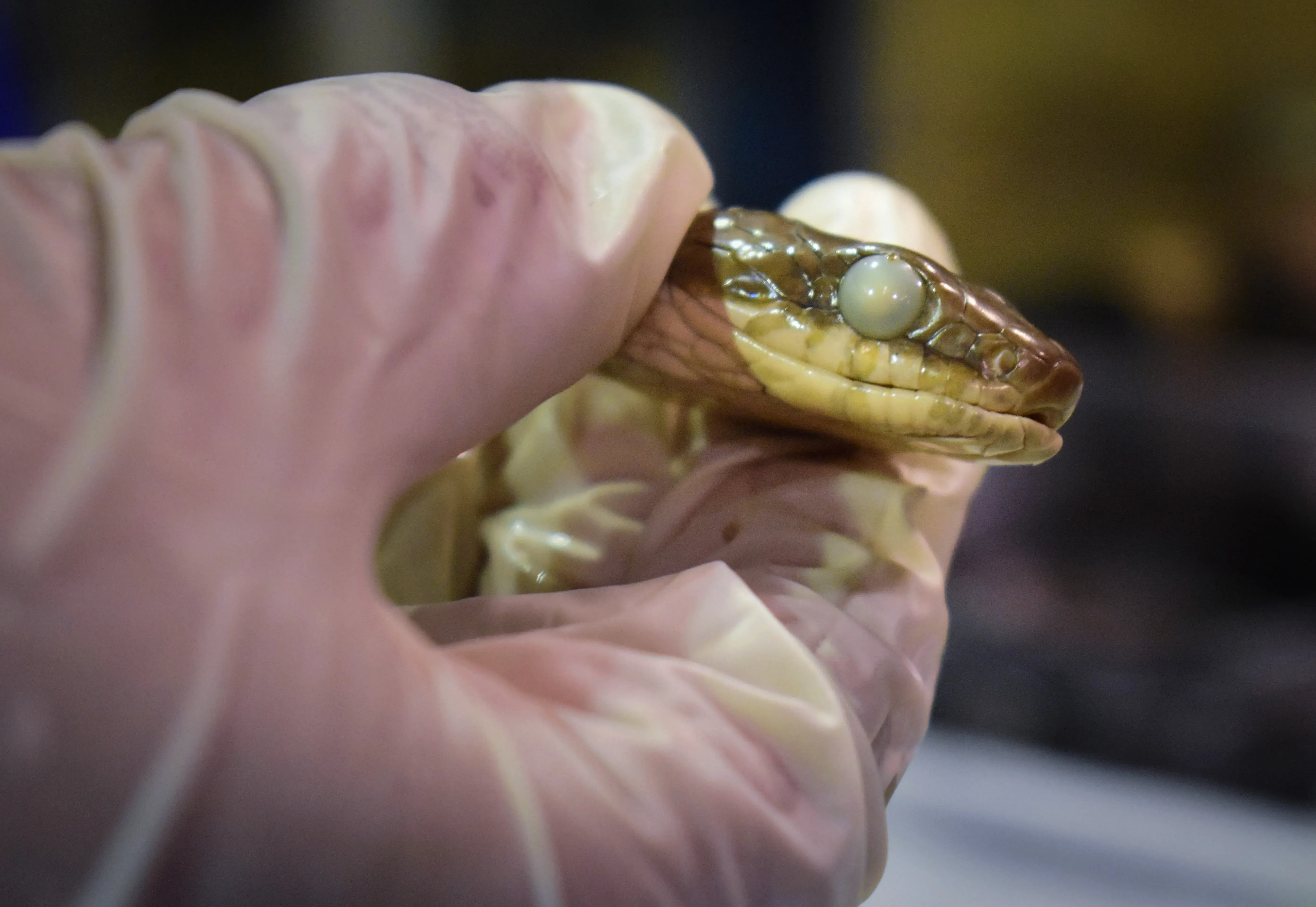 Foto 7 de Feria del Libro 2024