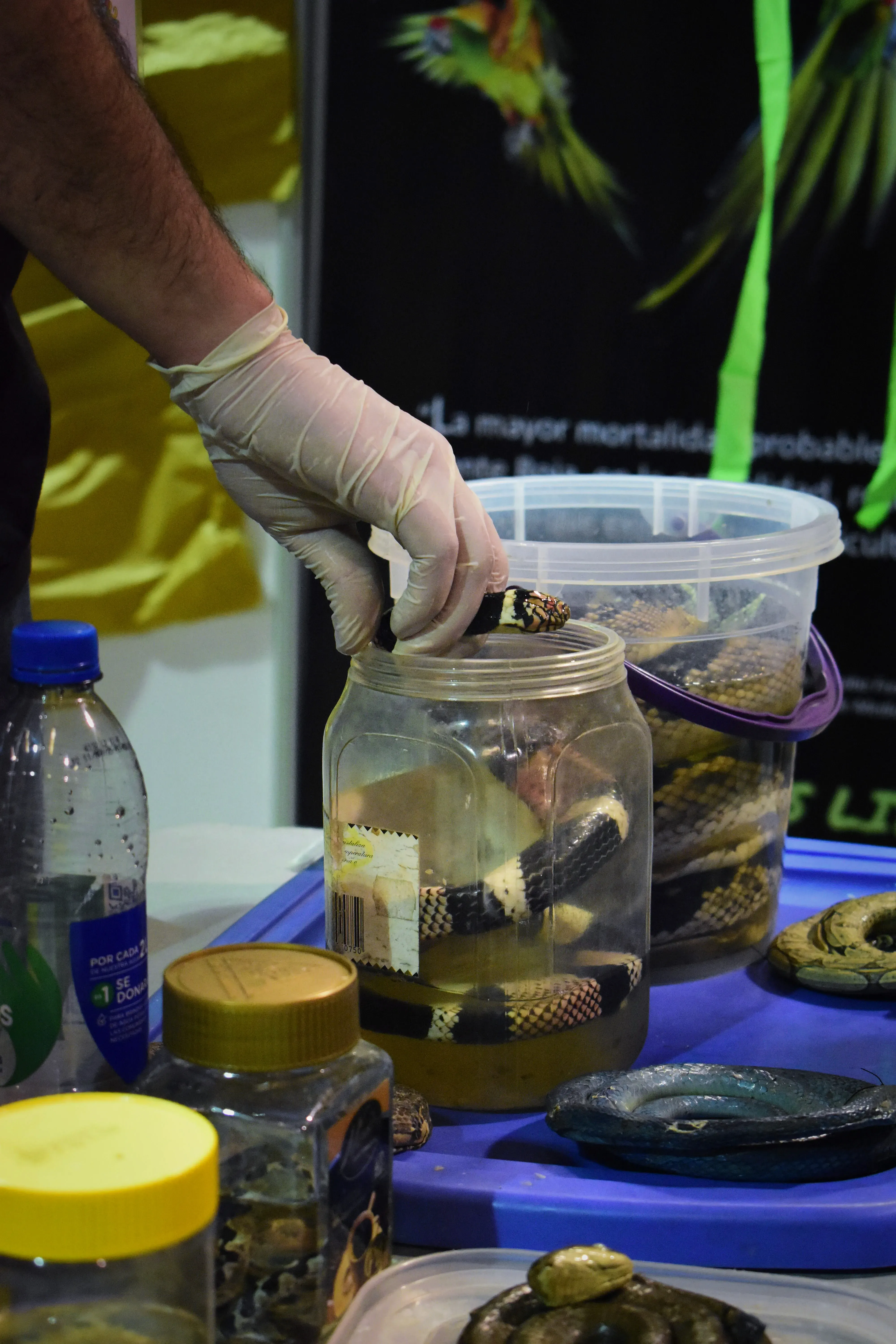 Foto 8 de Feria del Libro 2024