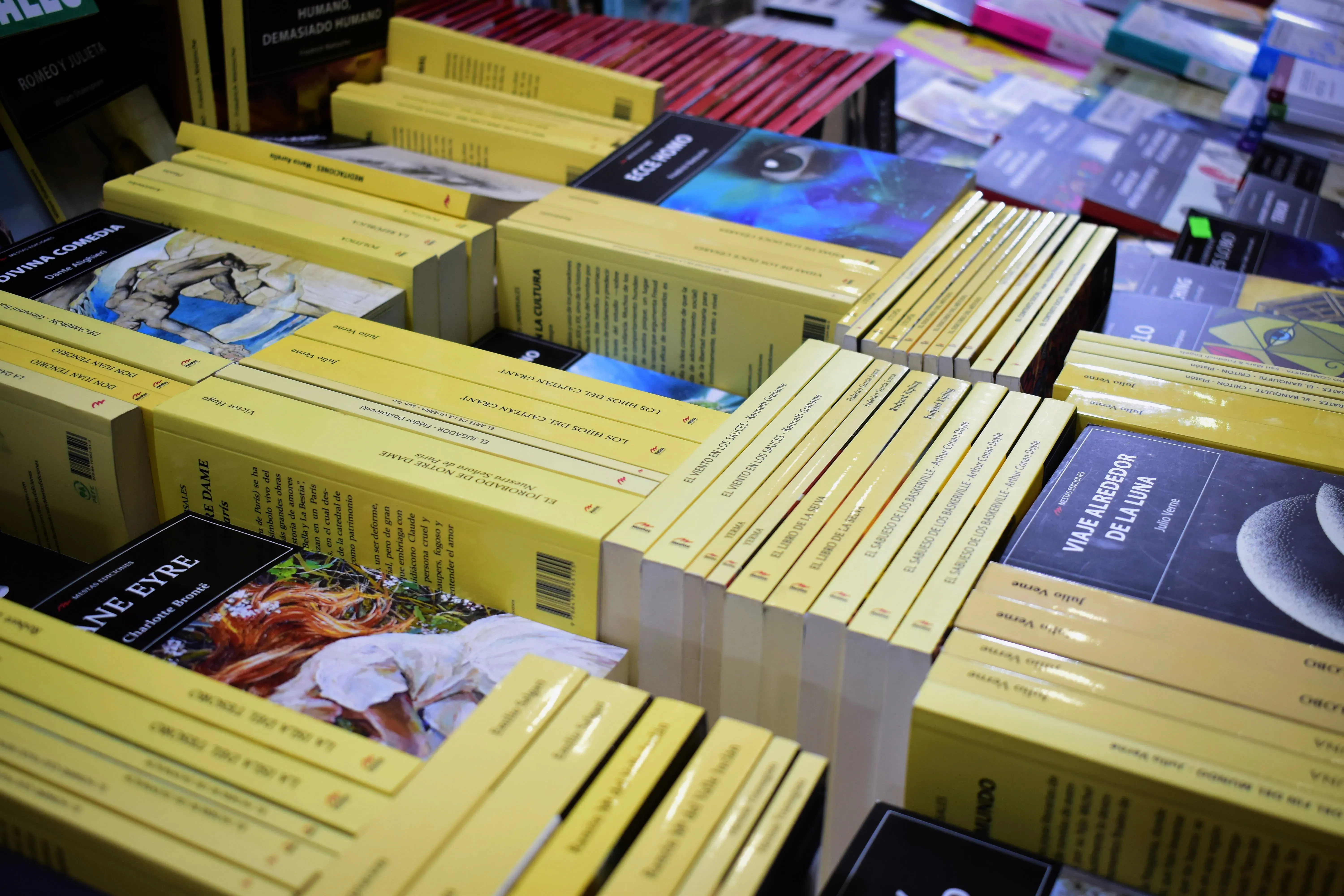 Foto 20 de Feria del Libro 2024