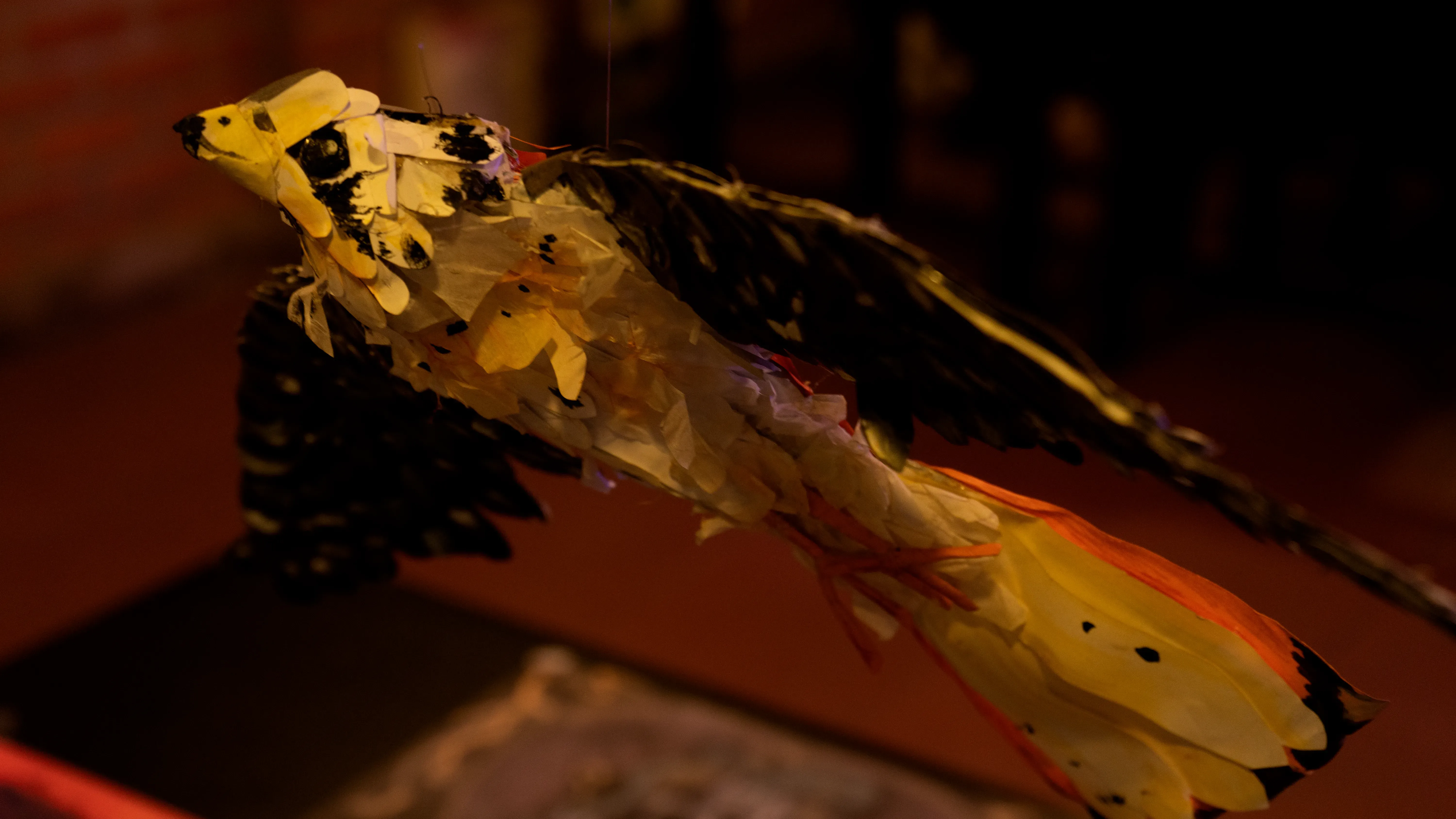 Foto 2 de KURMI by KELLEN