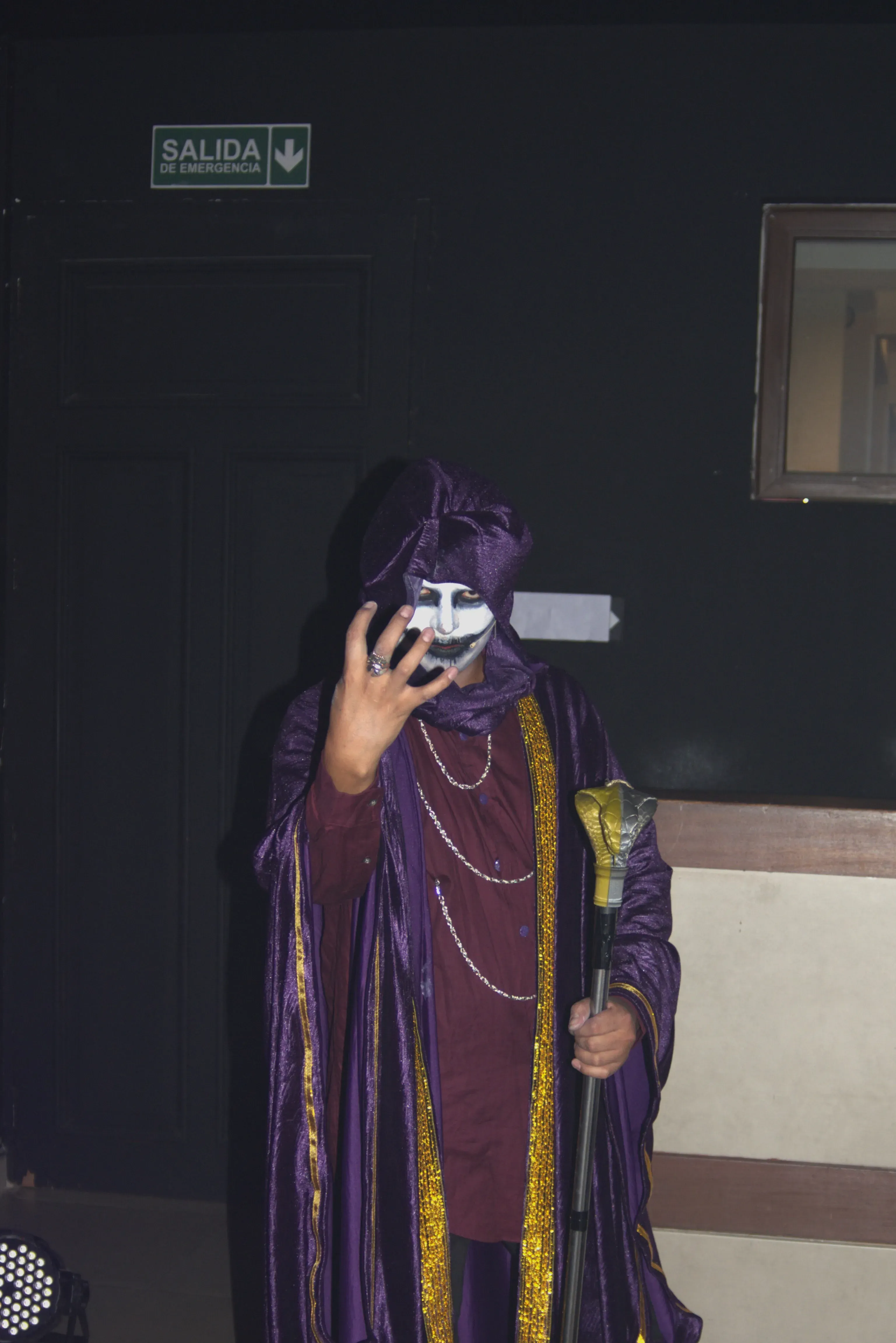 Foto 22 de La Mascarada