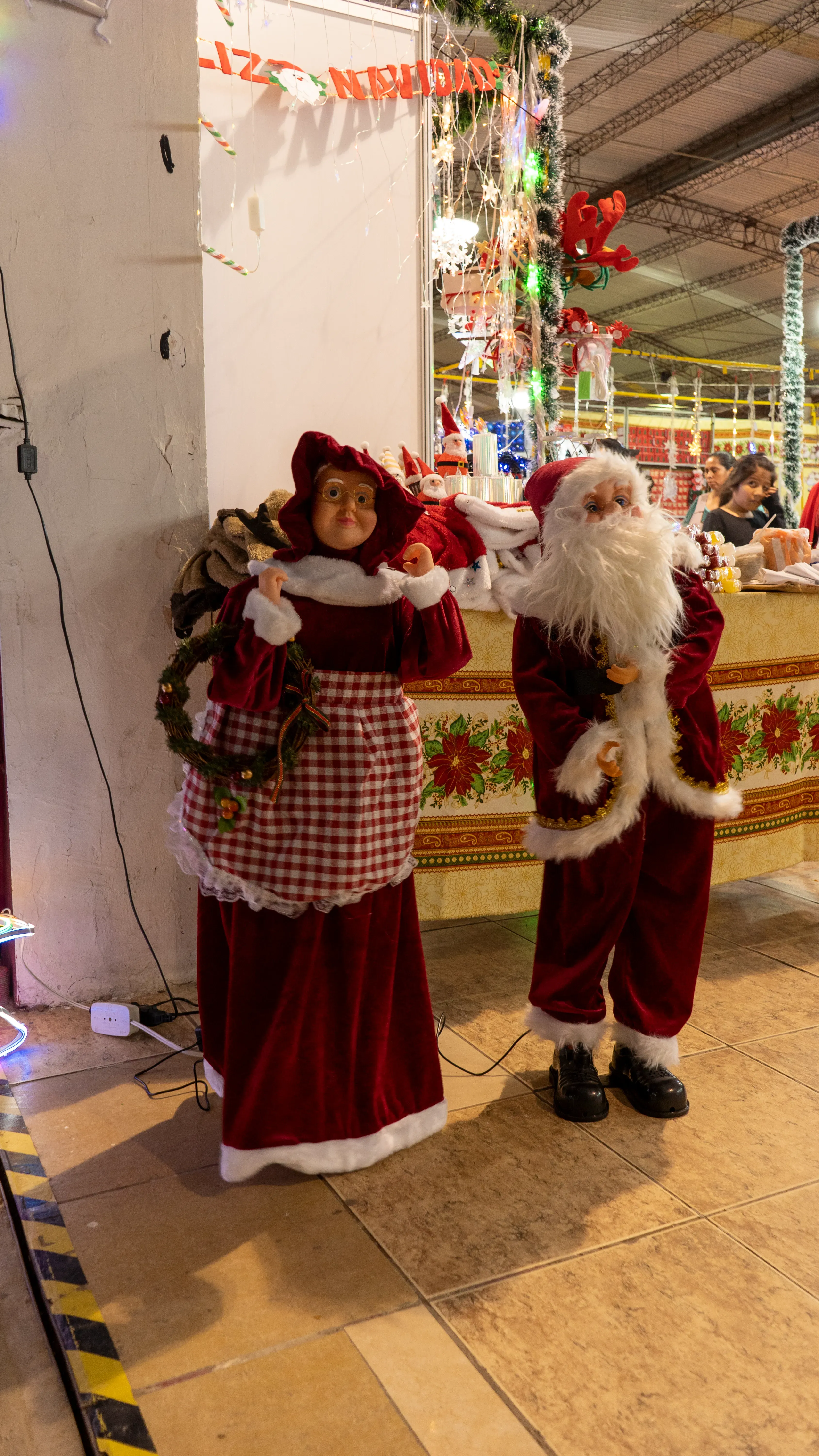 Foto 15 de Feria y desfile navideño