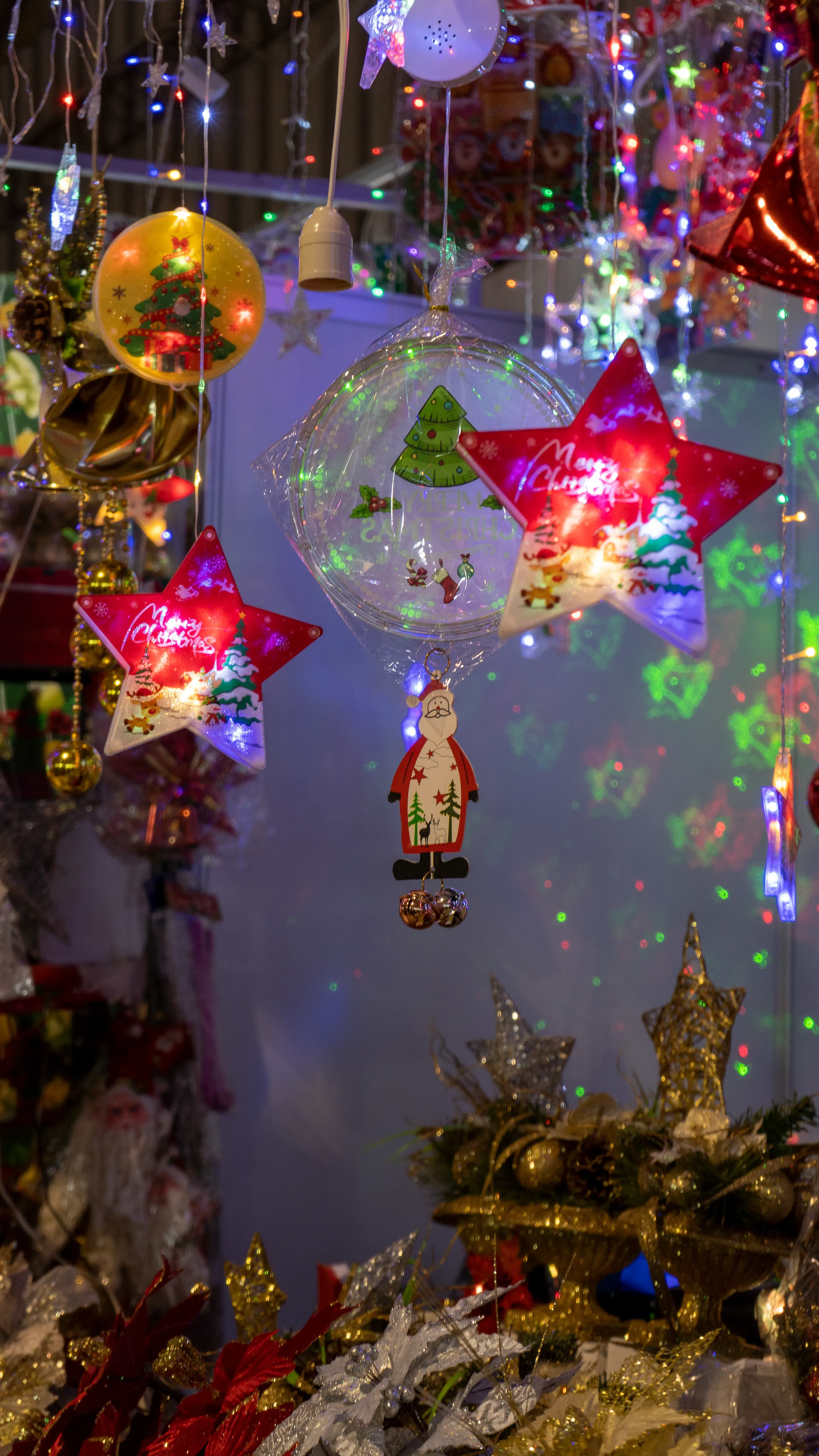 Foto 19 de Feria y desfile navideño