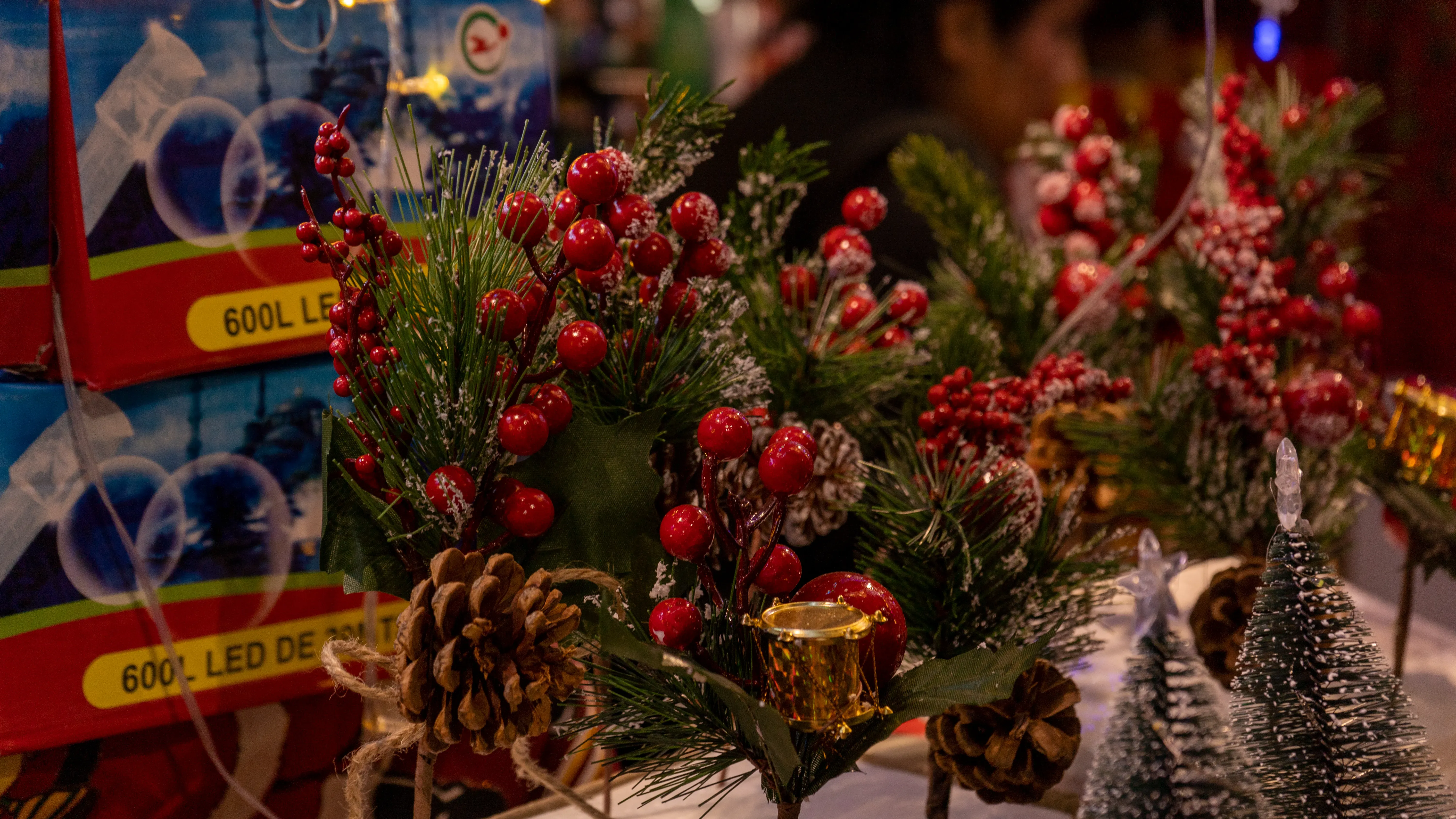 Foto 22 de Feria y desfile navideño