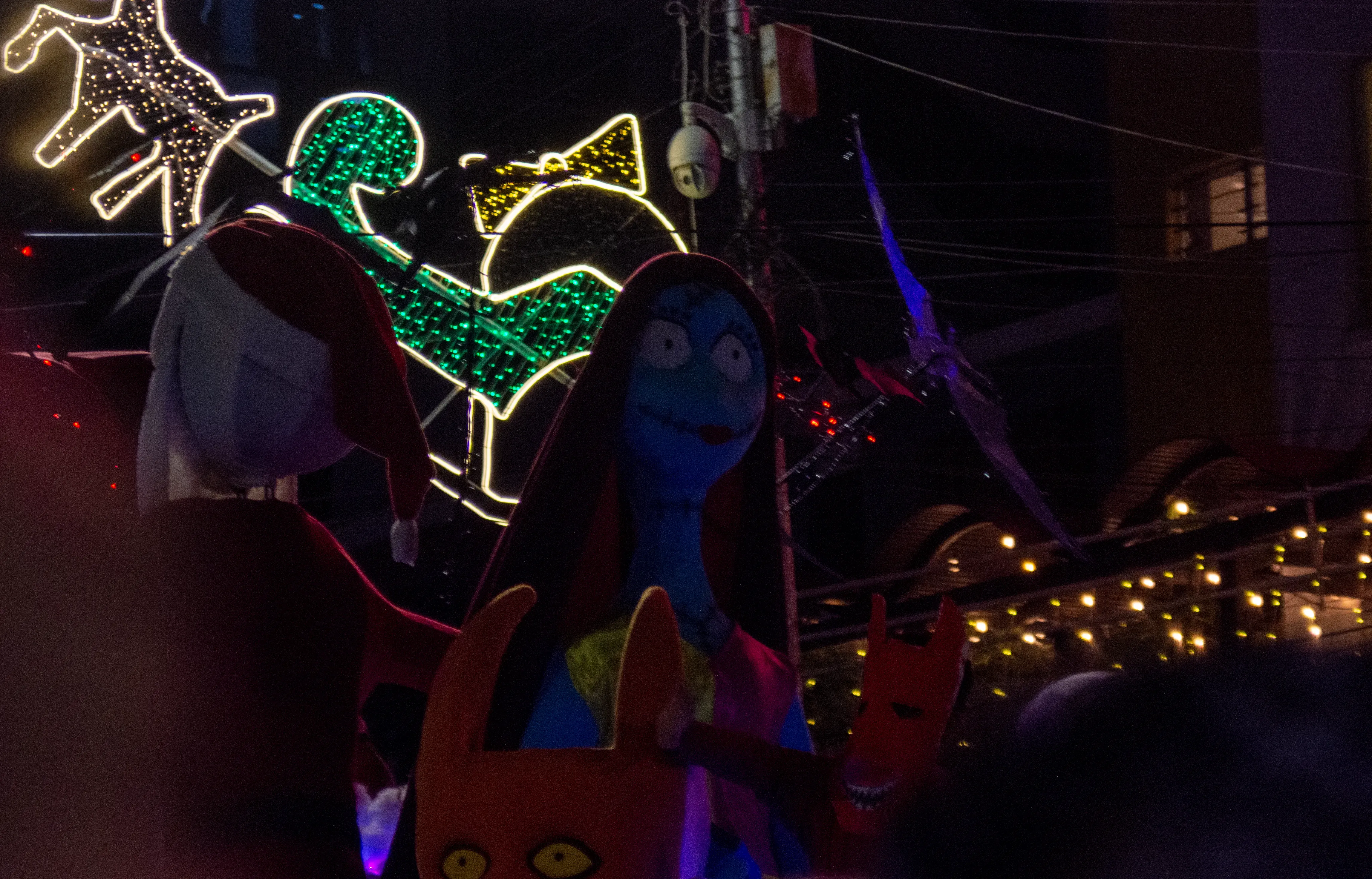 Foto 4 de Feria y desfile navideño