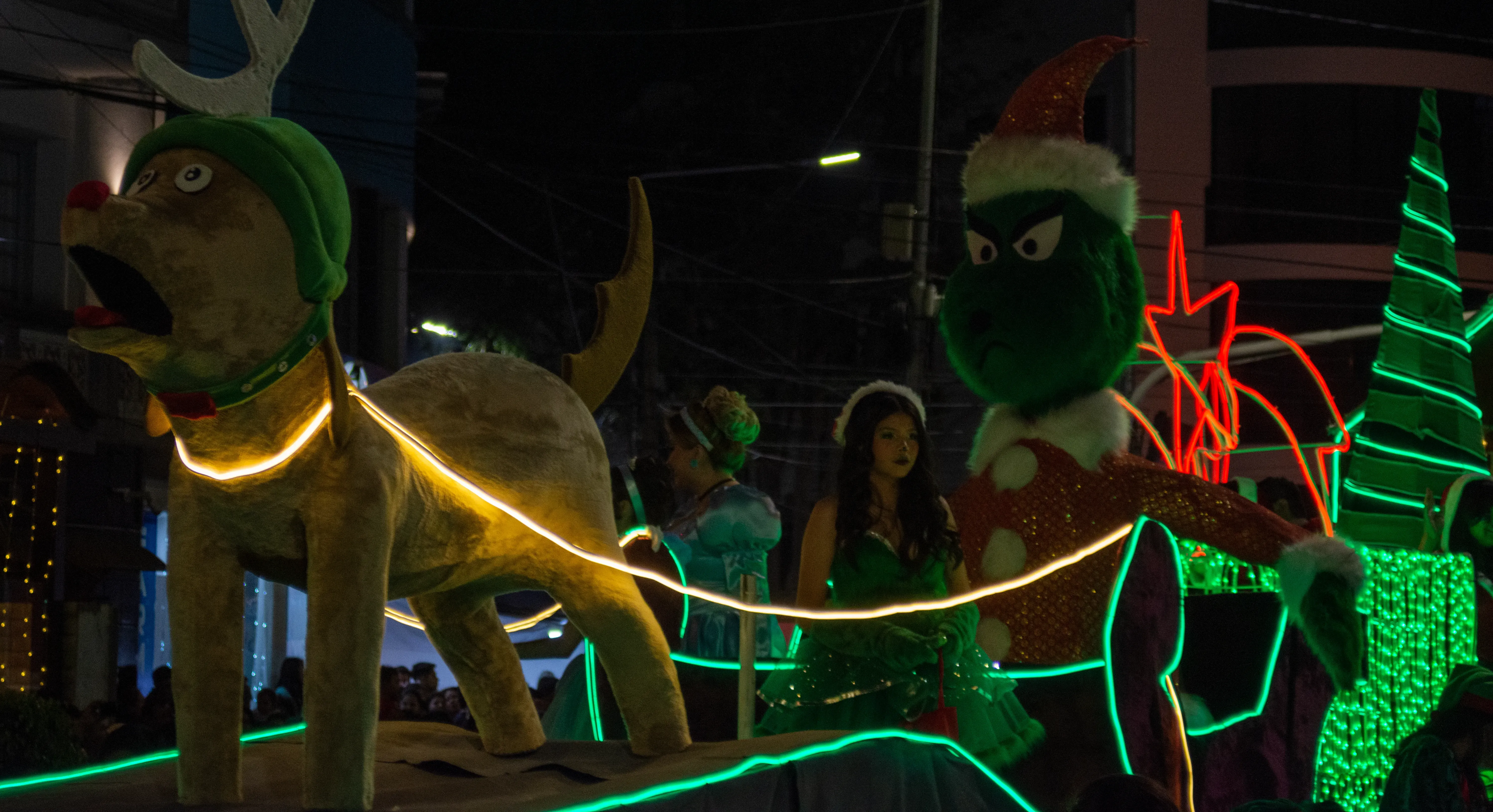 Foto 10 de Feria y desfile navideño