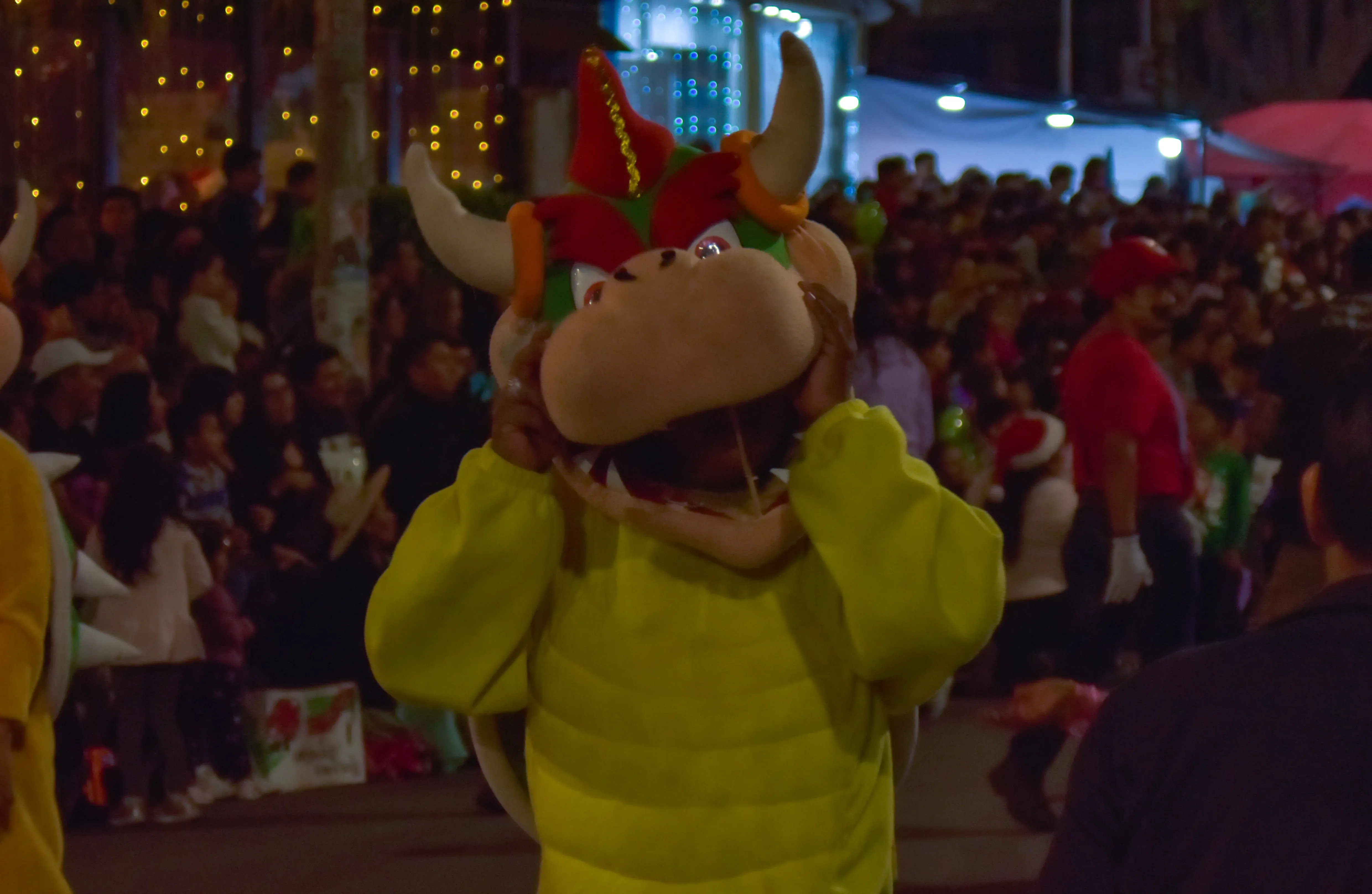 Foto 13 de Feria y desfile navideño