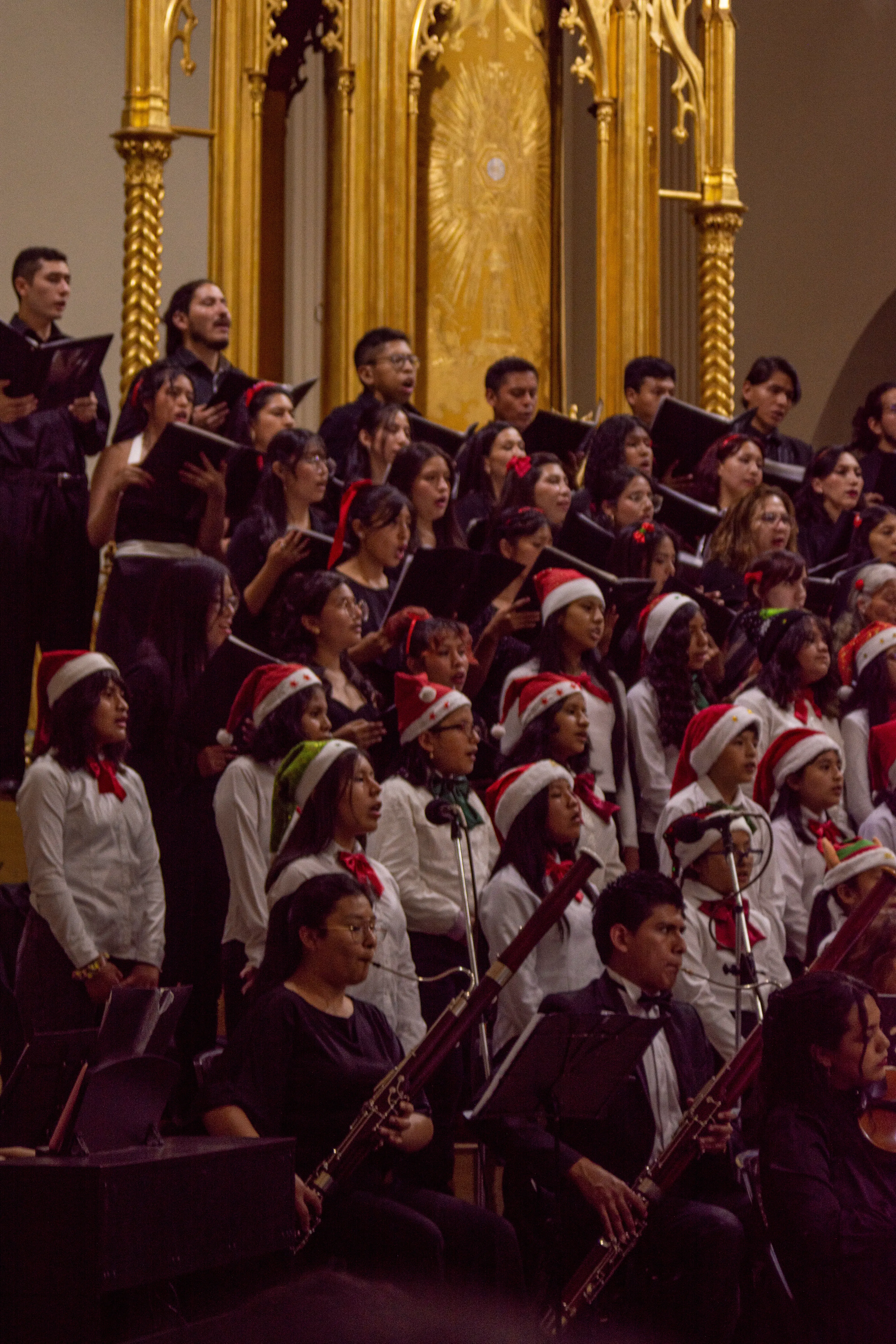 Foto 3 de Concierto de Navidad en la Catedral