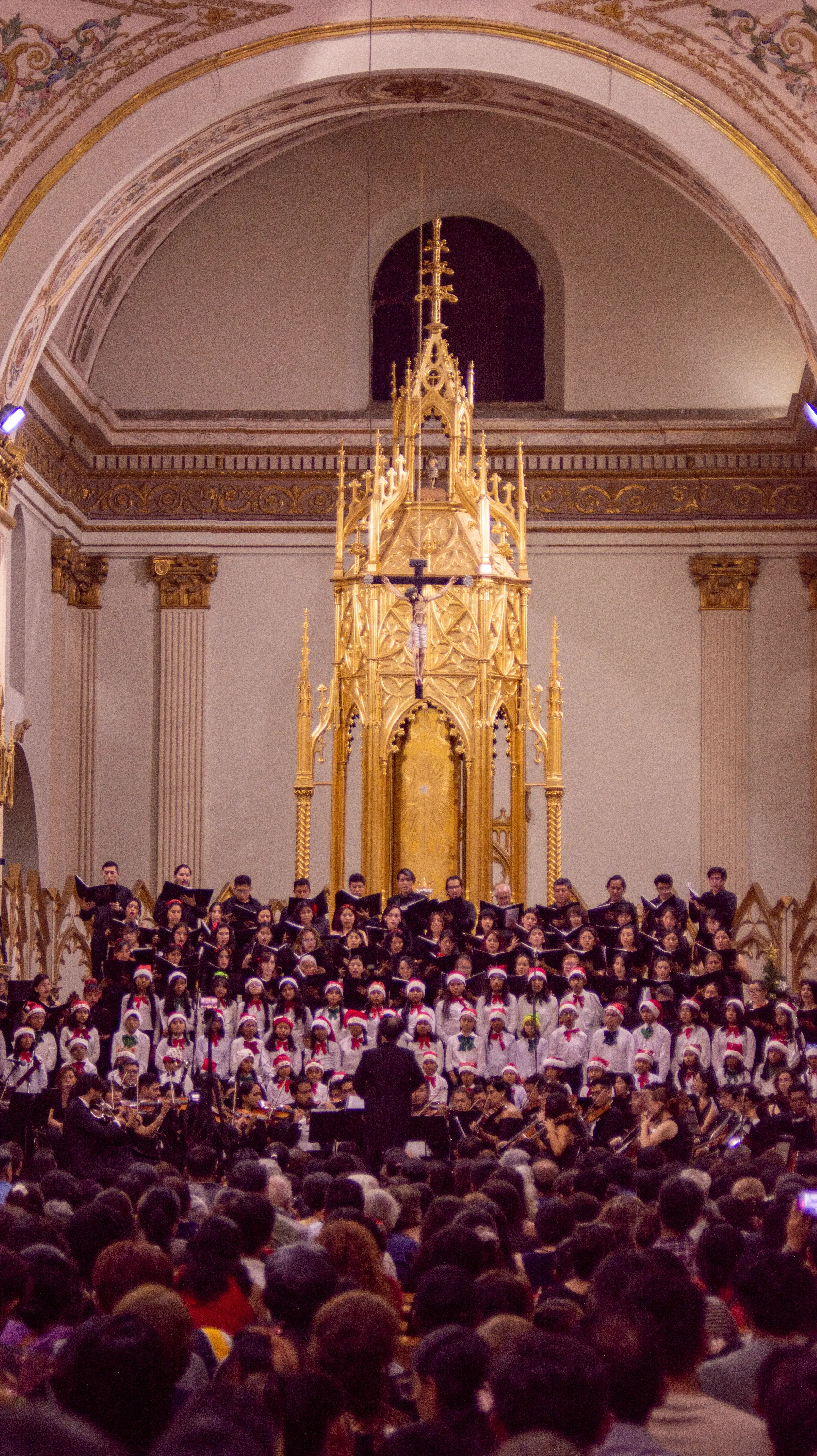 Foto 5 de Concierto de Navidad en la Catedral