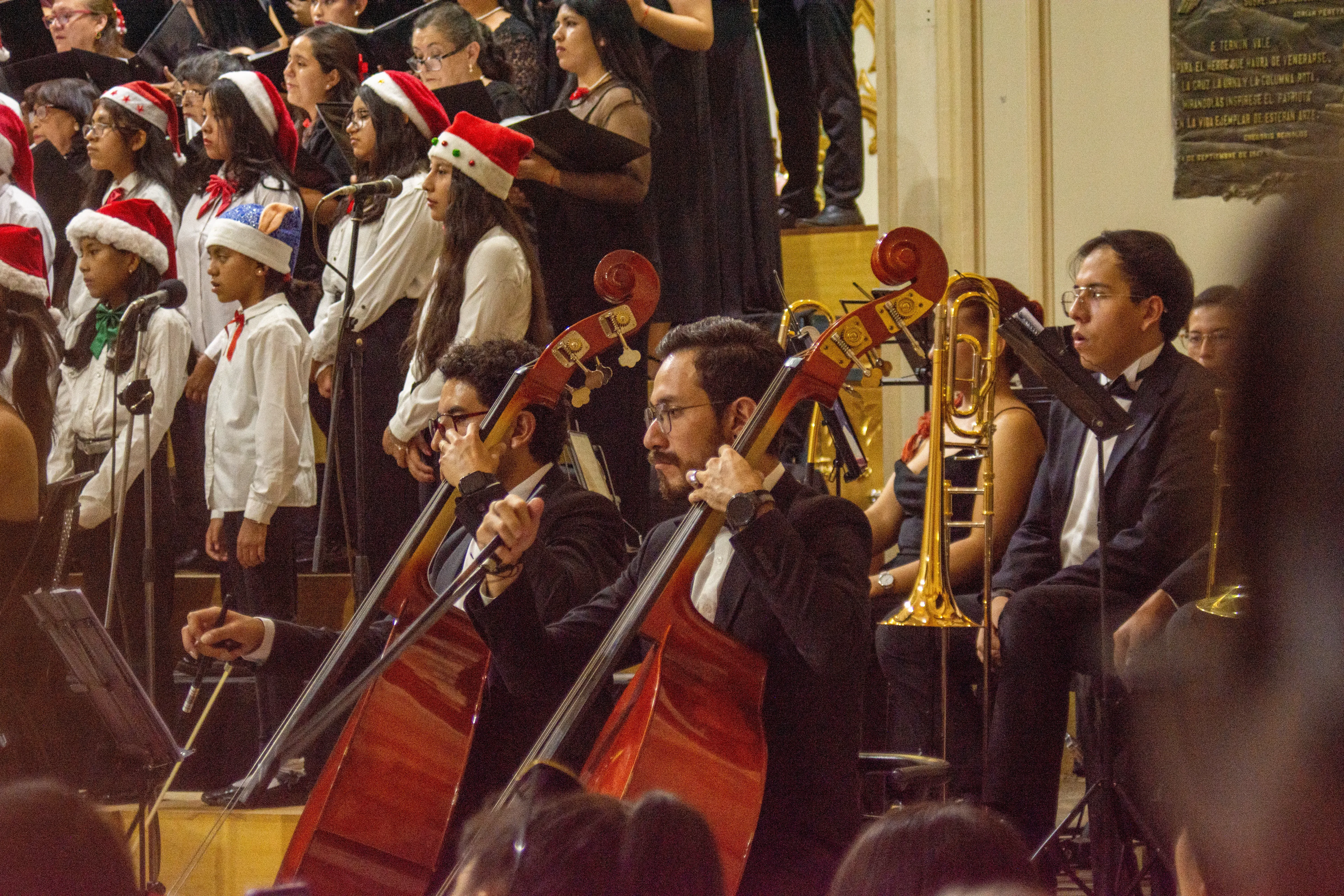 Foto 8 de Concierto de Navidad en la Catedral