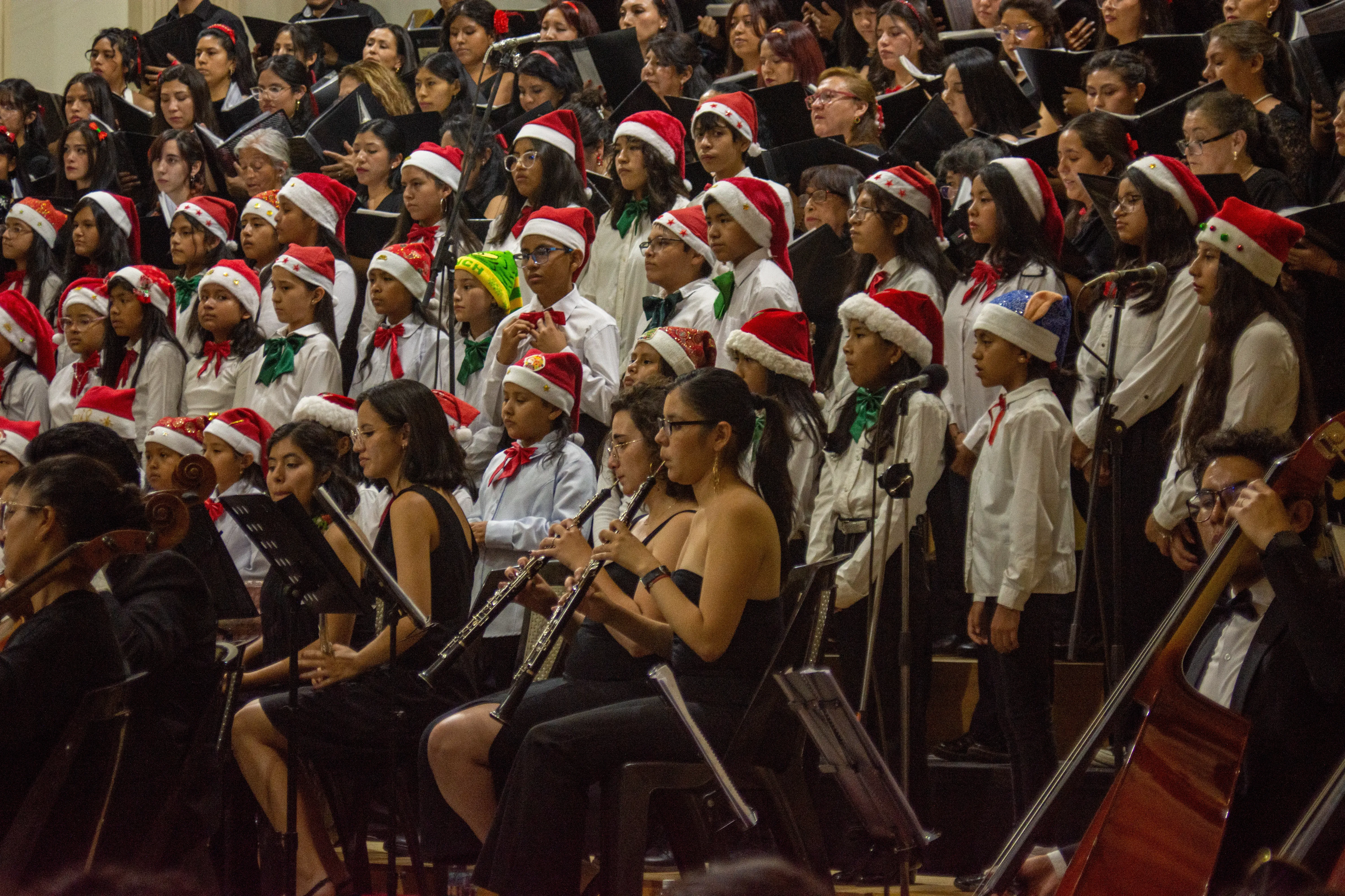 Foto 9 de Concierto de Navidad en la Catedral