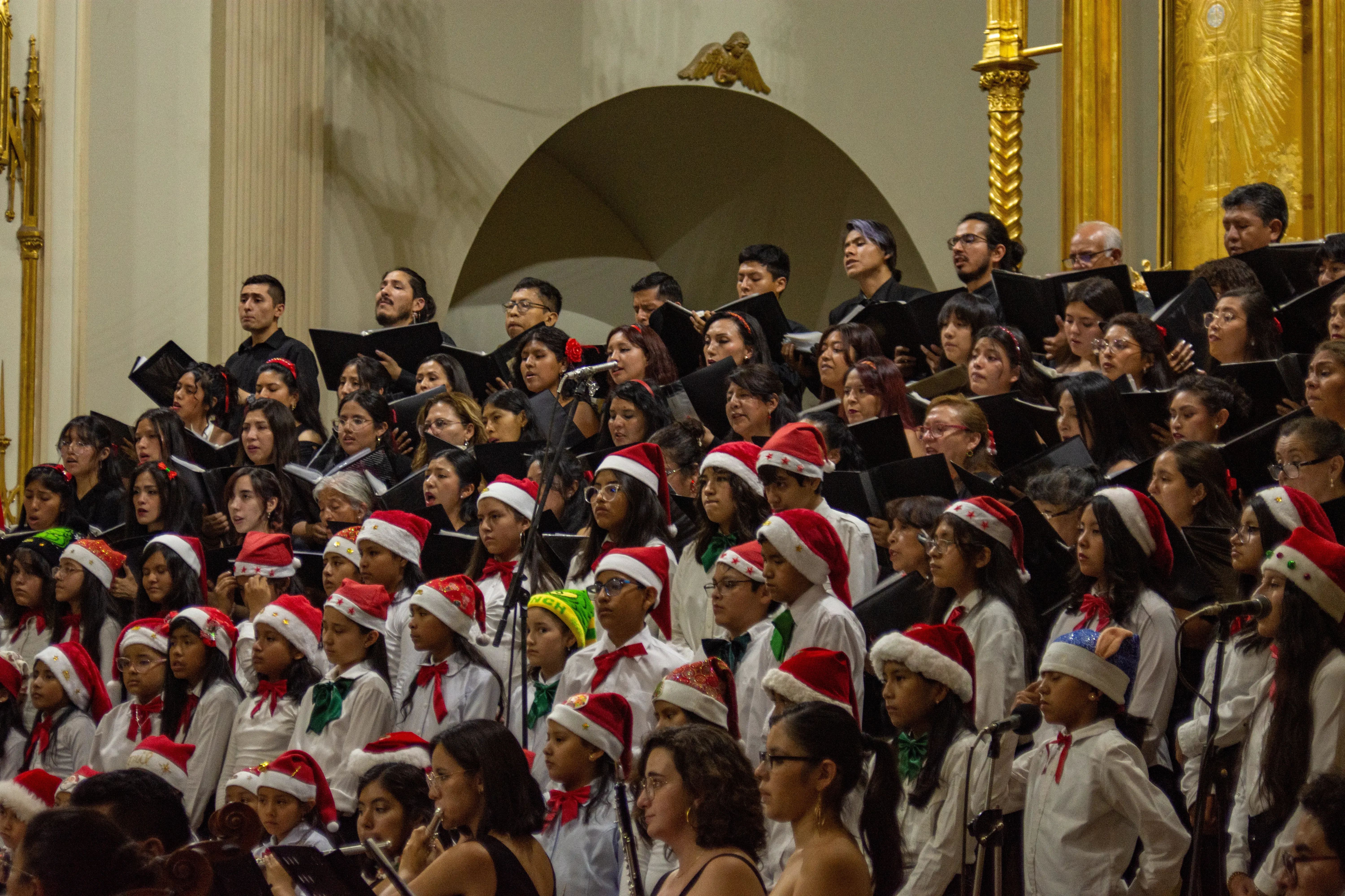 Foto 11 de Concierto de Navidad en la Catedral