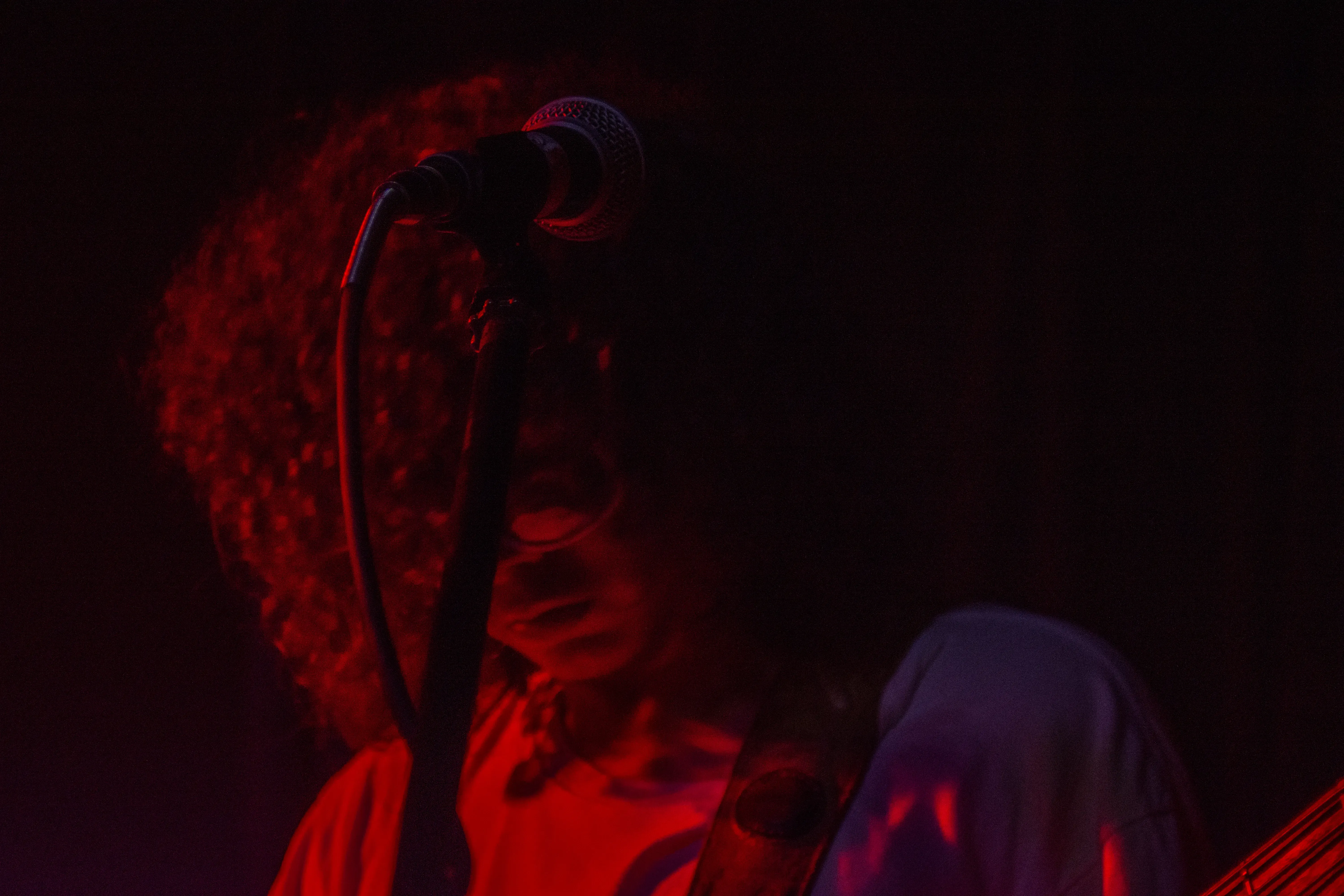 Foto 25 de La Ceremonia