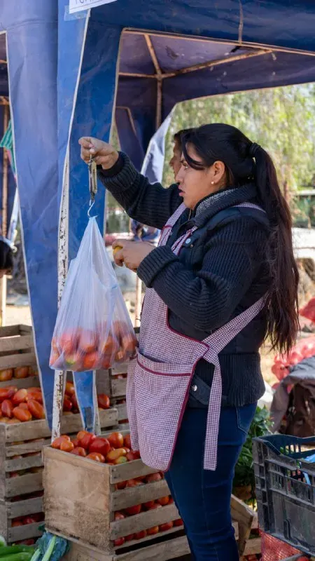 Foto 1 de Feria Productiva