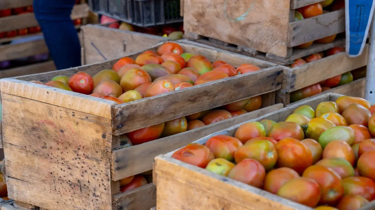 Foto 2 de Feria Productiva