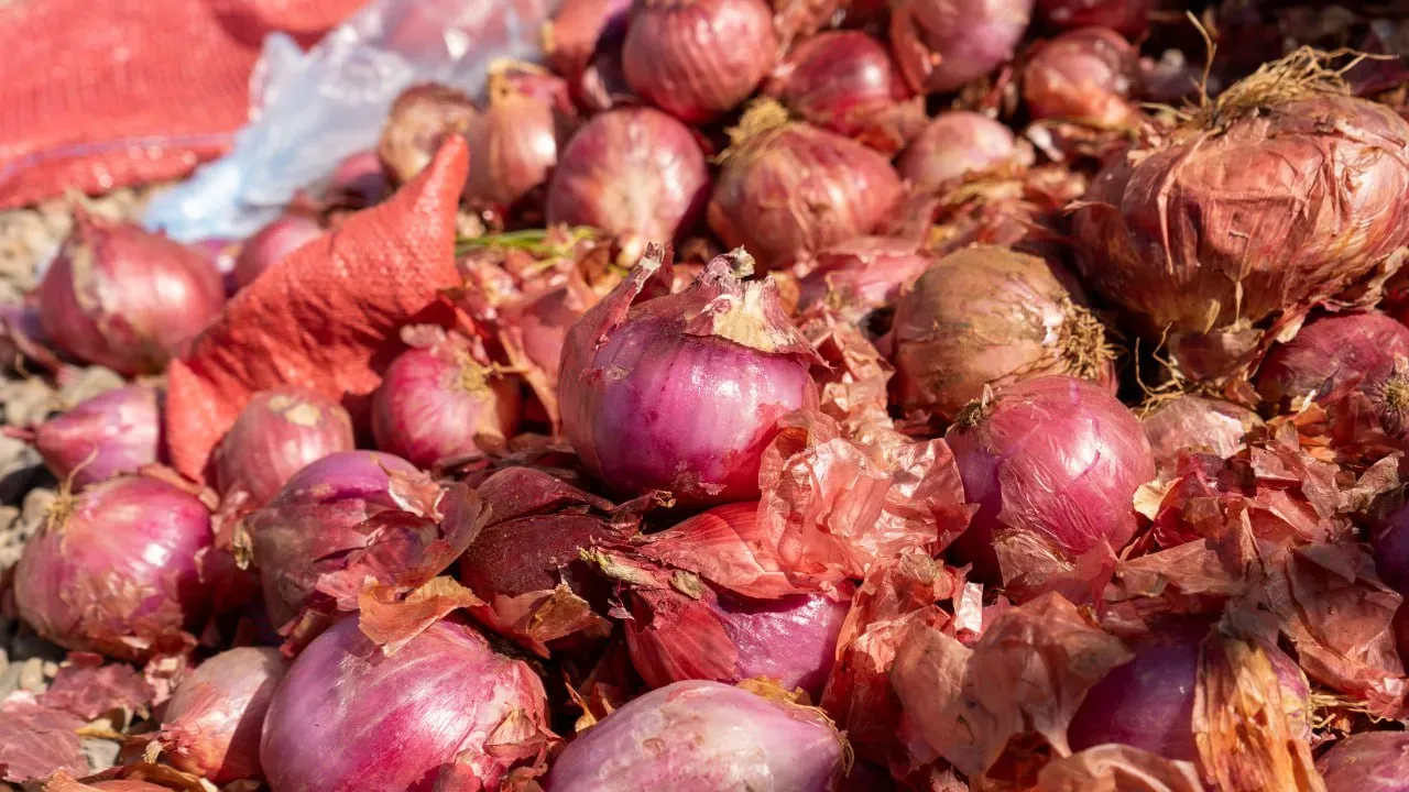 Foto 4 de Feria Productiva