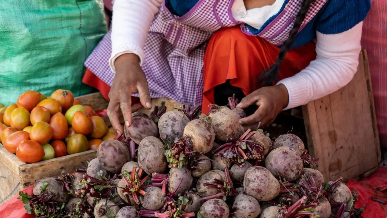 Foto 7 de Feria Productiva