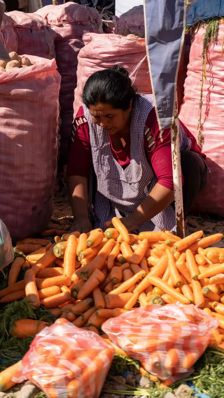 Foto 8 de Feria Productiva