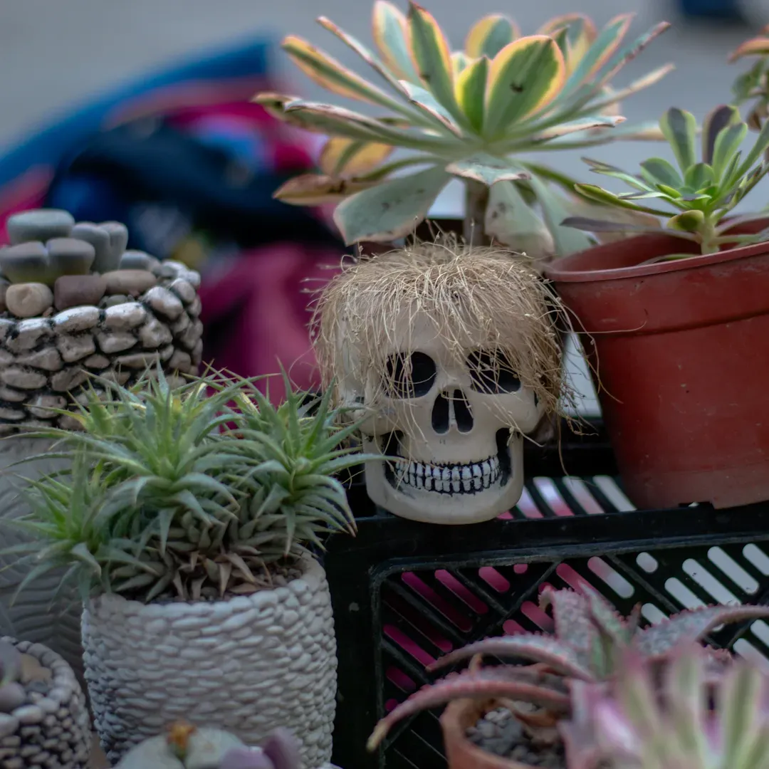 Foto 14 de Clausura FEXCO 2024