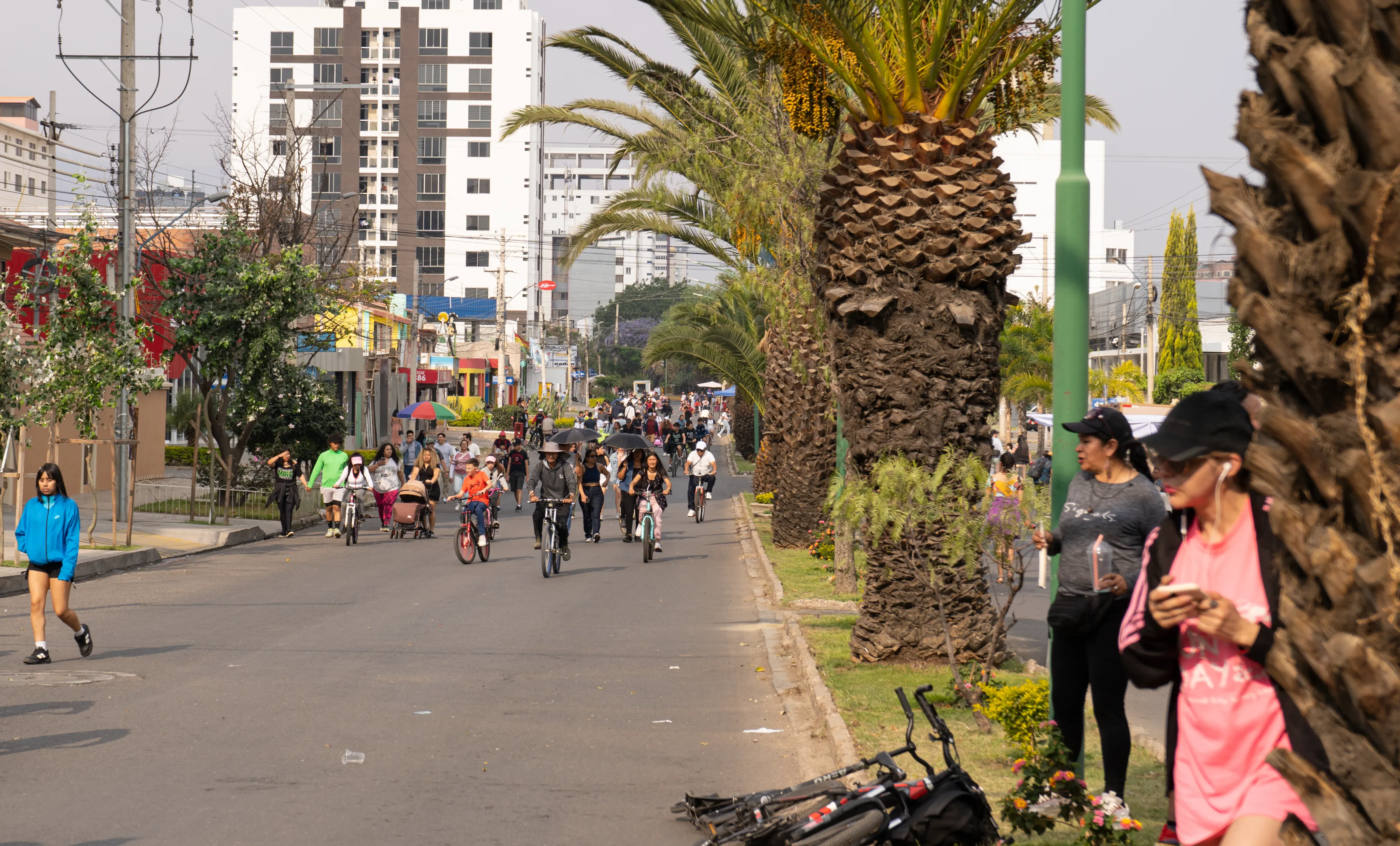 Foto 4 de Día del peatón Septiembre