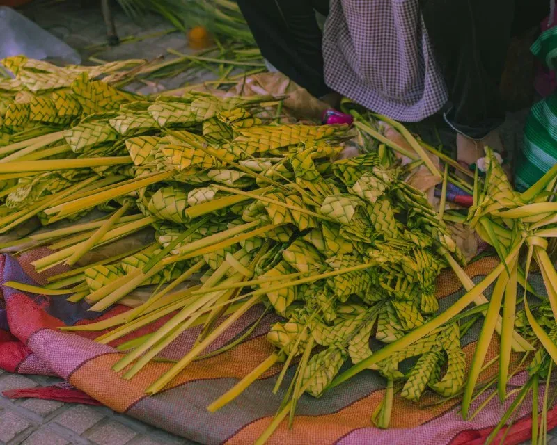 Foto 14 de Domingo de Ramos