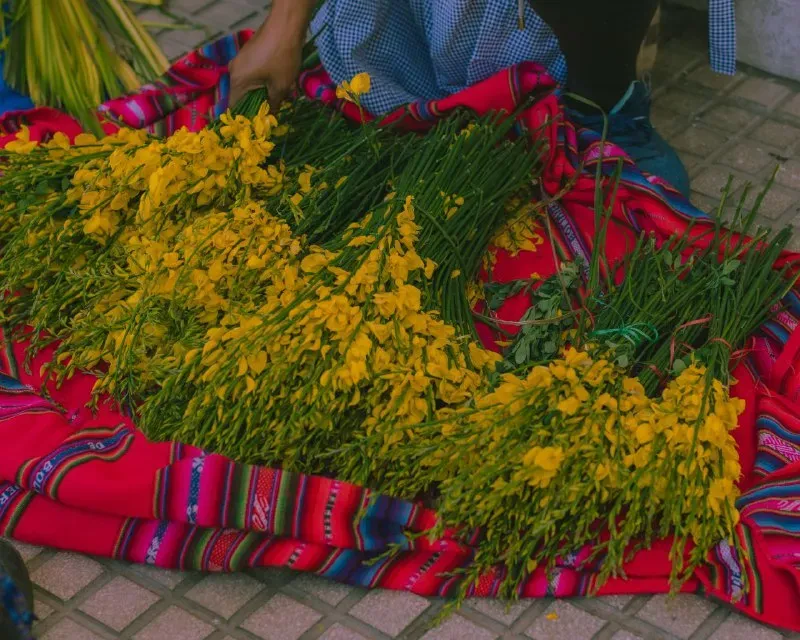 Foto 13 de Domingo de Ramos