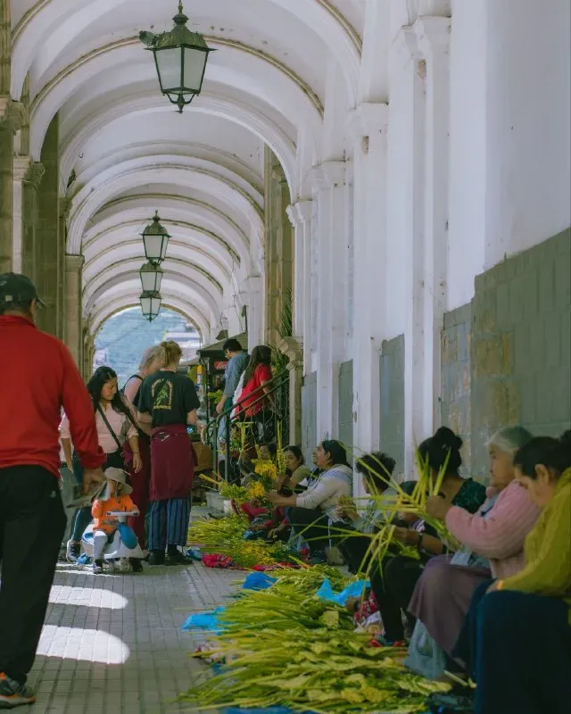 Foto 11 de Domingo de Ramos