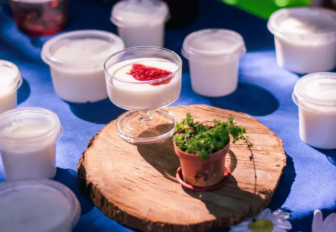 Foto 6 de Biciecoferia