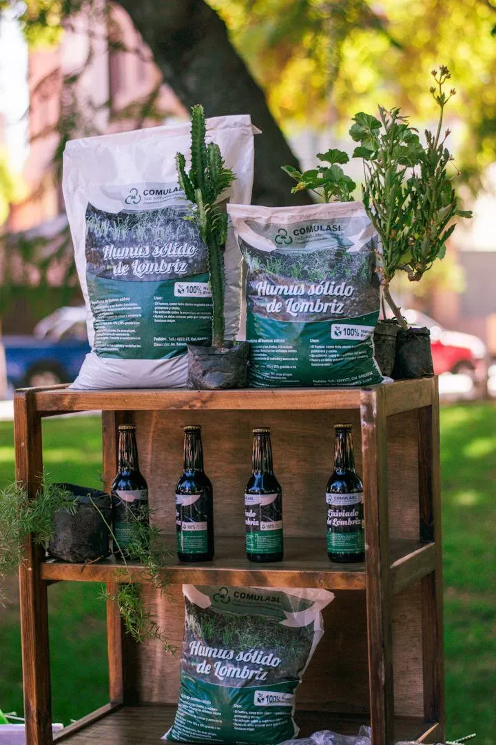 Foto 5 de Biciecoferia