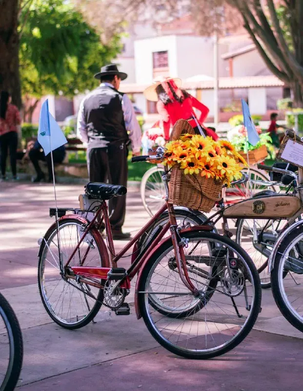 Foto 12 de Biciecoferia