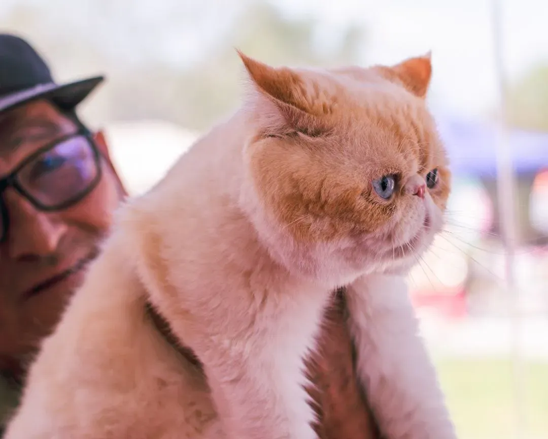 Foto 26 de Cocha Pet