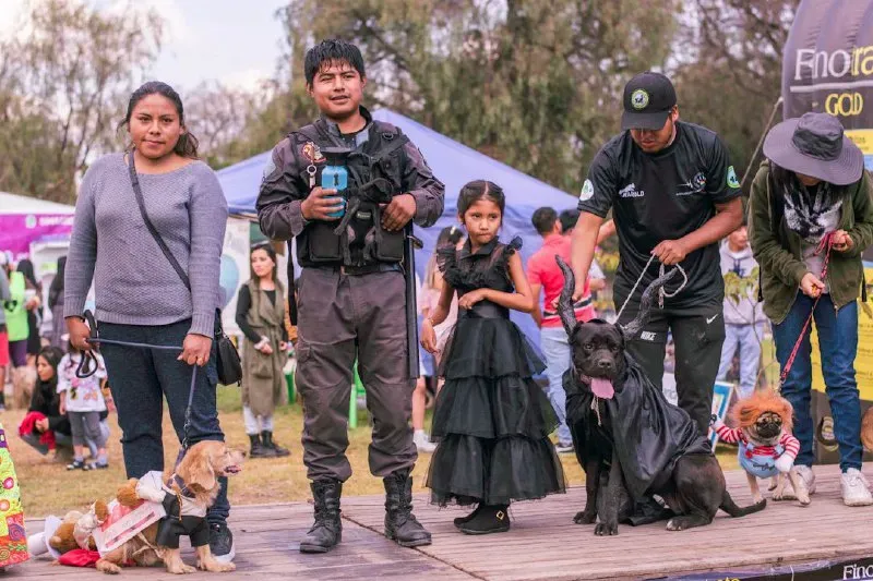 Foto 24 de Cocha Pet